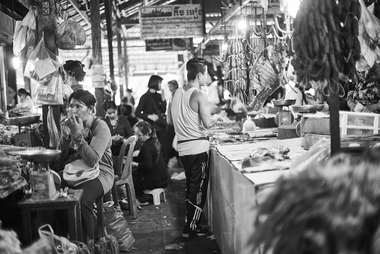 Society, Culture, Social Issues