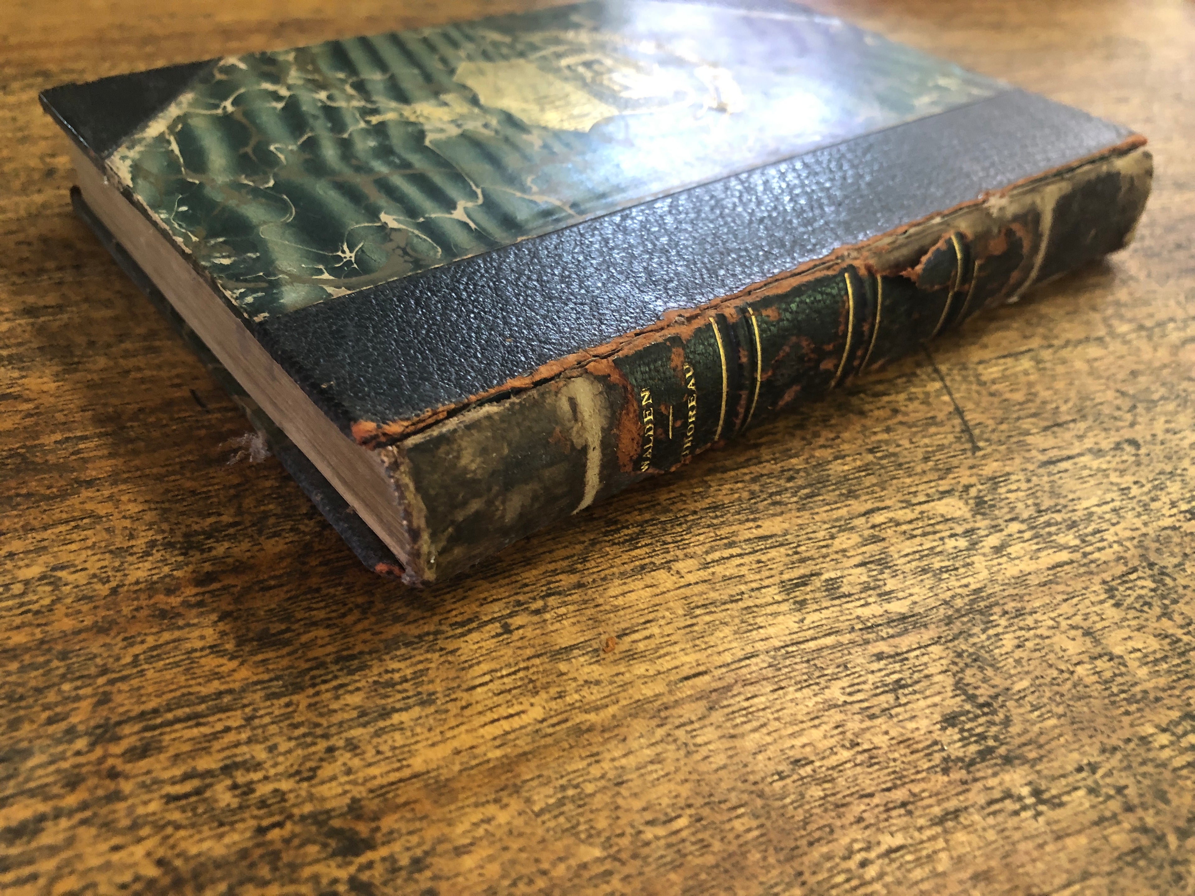 Walden — Thoreau, Henry Davide