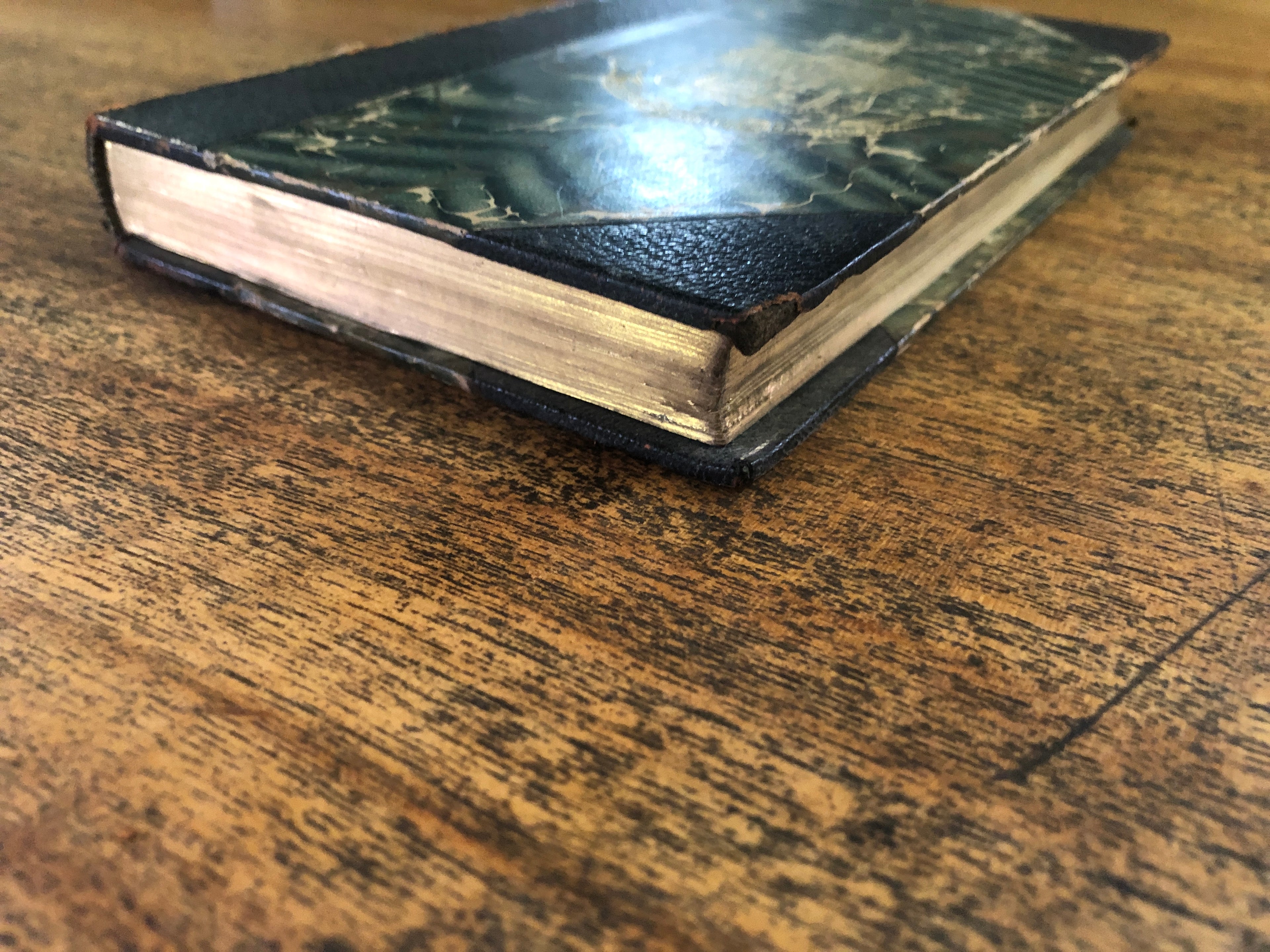 Walden — Thoreau, Henry Davide