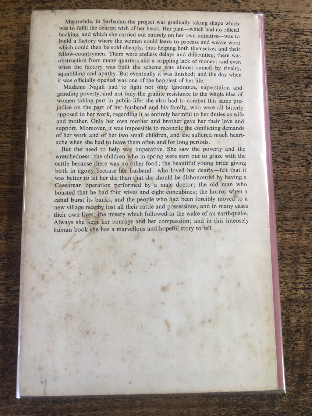 A Wall And Three Willows - Najafi, Najmeh w/ Hinckley, Helen