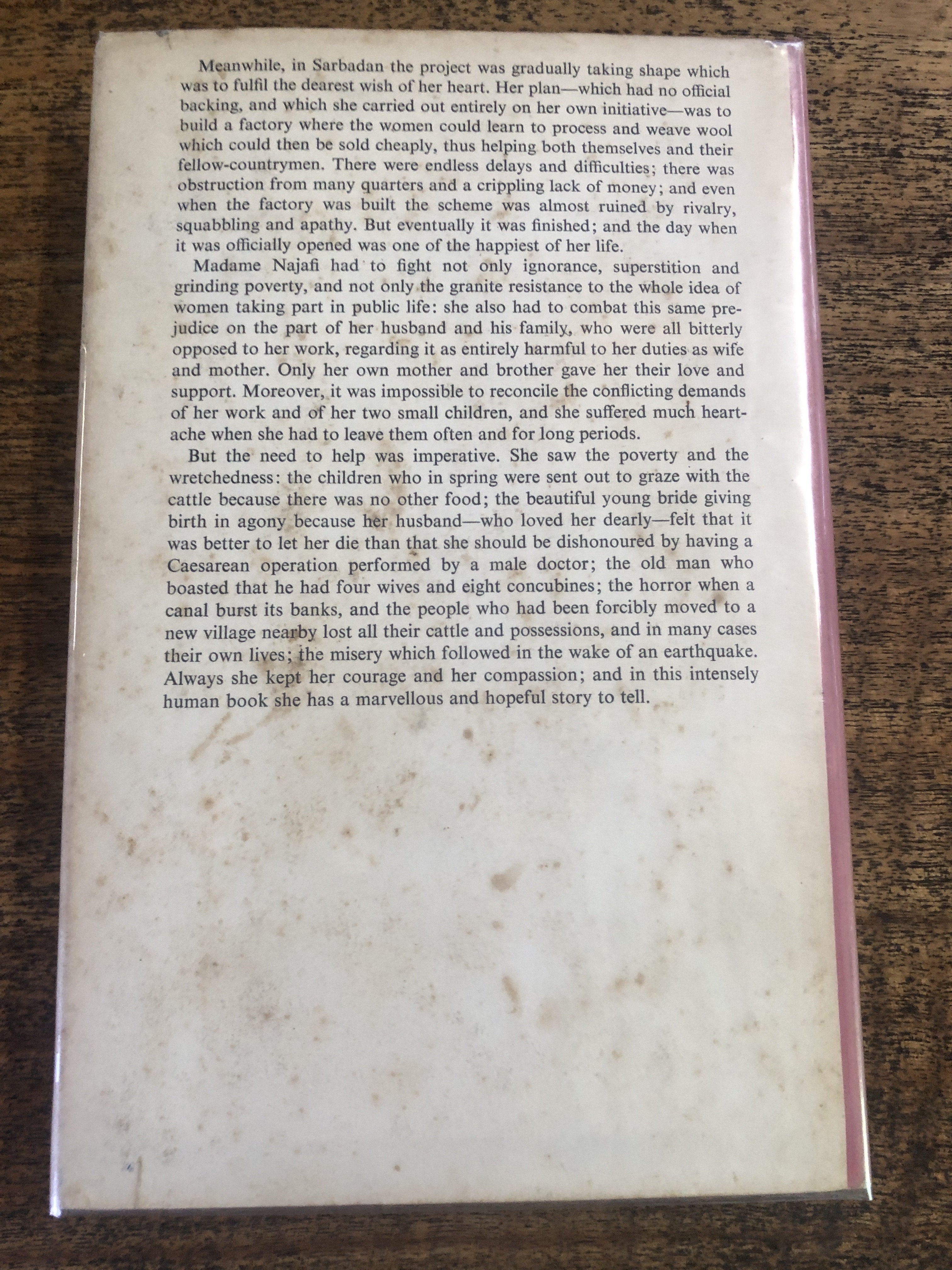 A Wall And Three Willows - Najafi, Najmeh w/ Hinckley, Helen