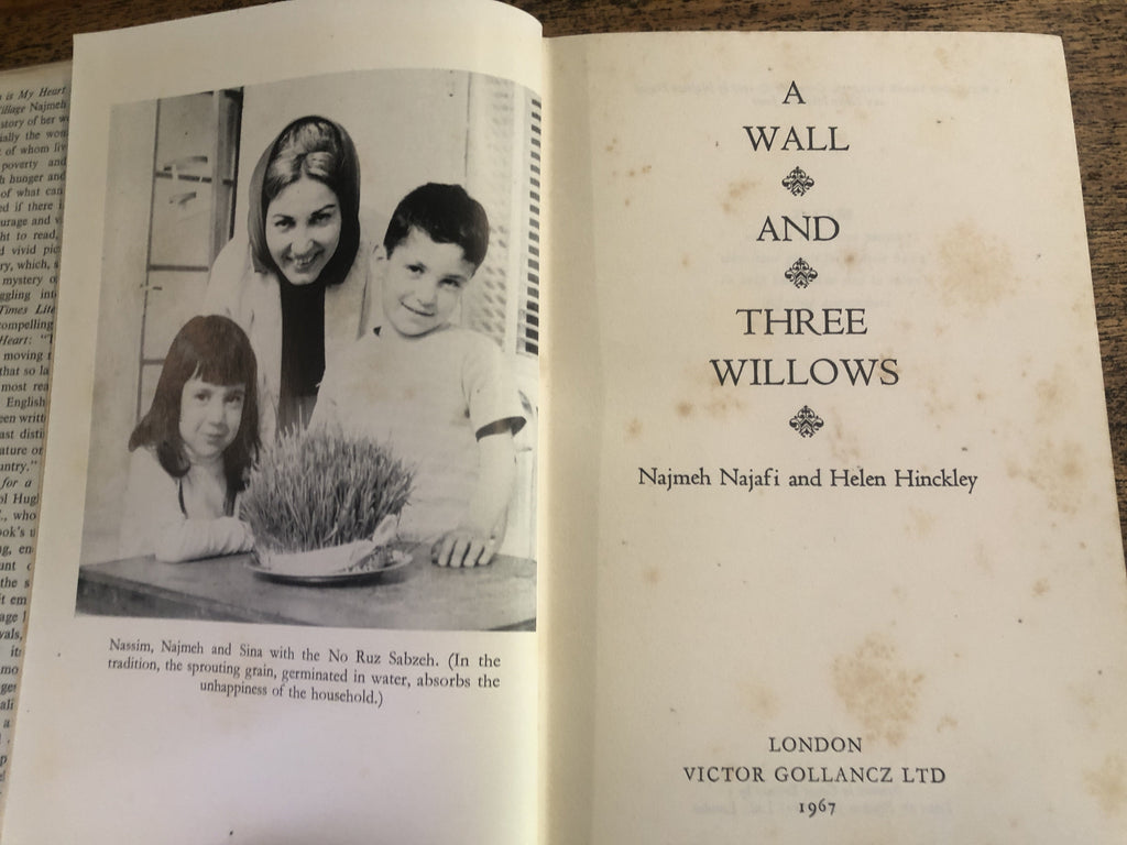 A Wall And Three Willows - Najafi, Najmeh w/ Hinckley, Helen