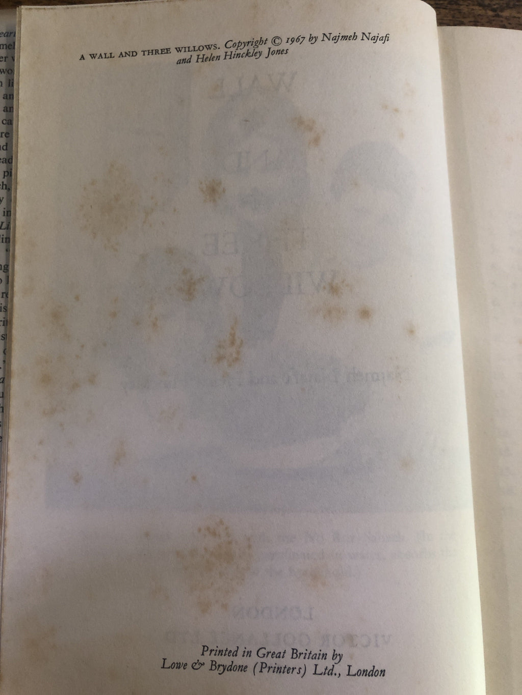 A Wall And Three Willows - Najafi, Najmeh w/ Hinckley, Helen