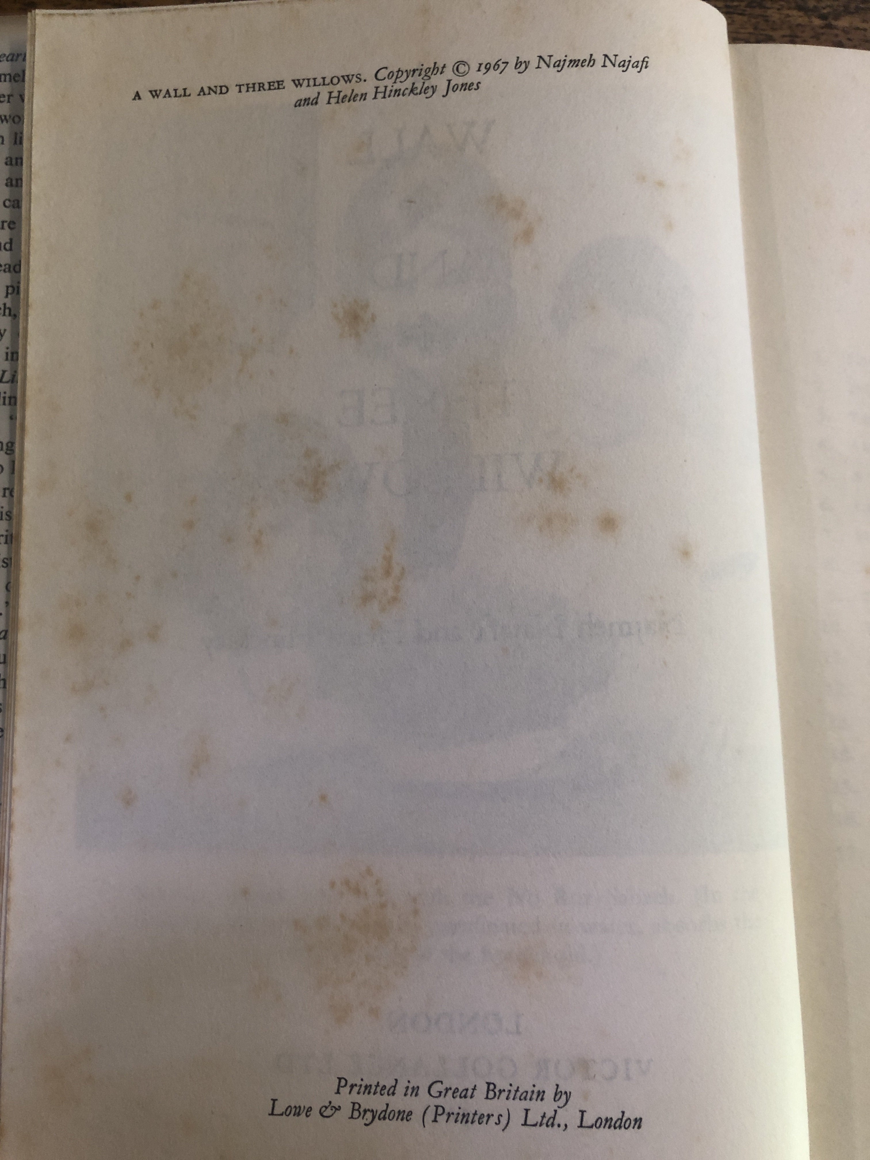 A Wall And Three Willows - Najafi, Najmeh w/ Hinckley, Helen