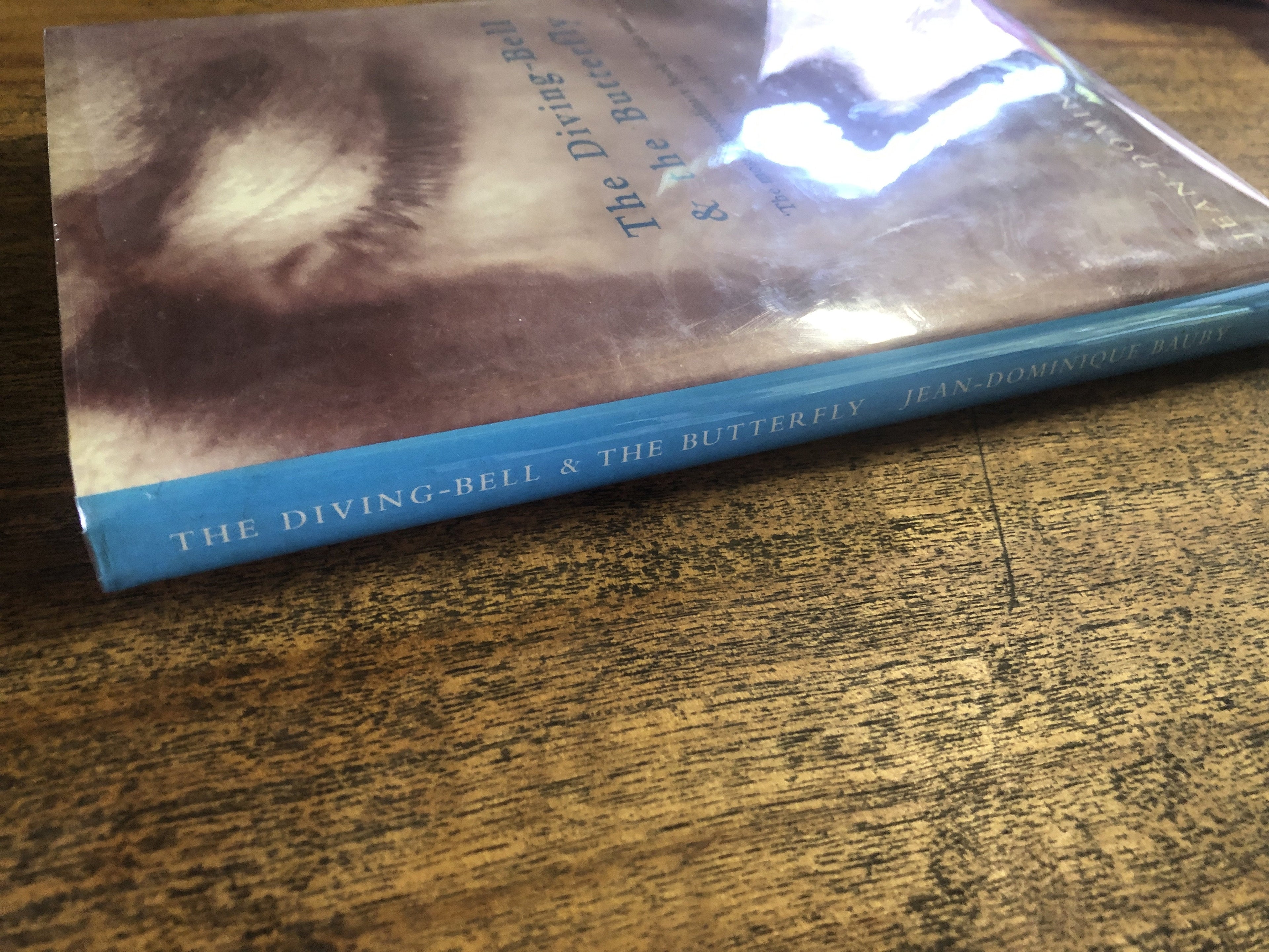 The Diving Bell & The Butterfly - Bauby, Jean-Dominique