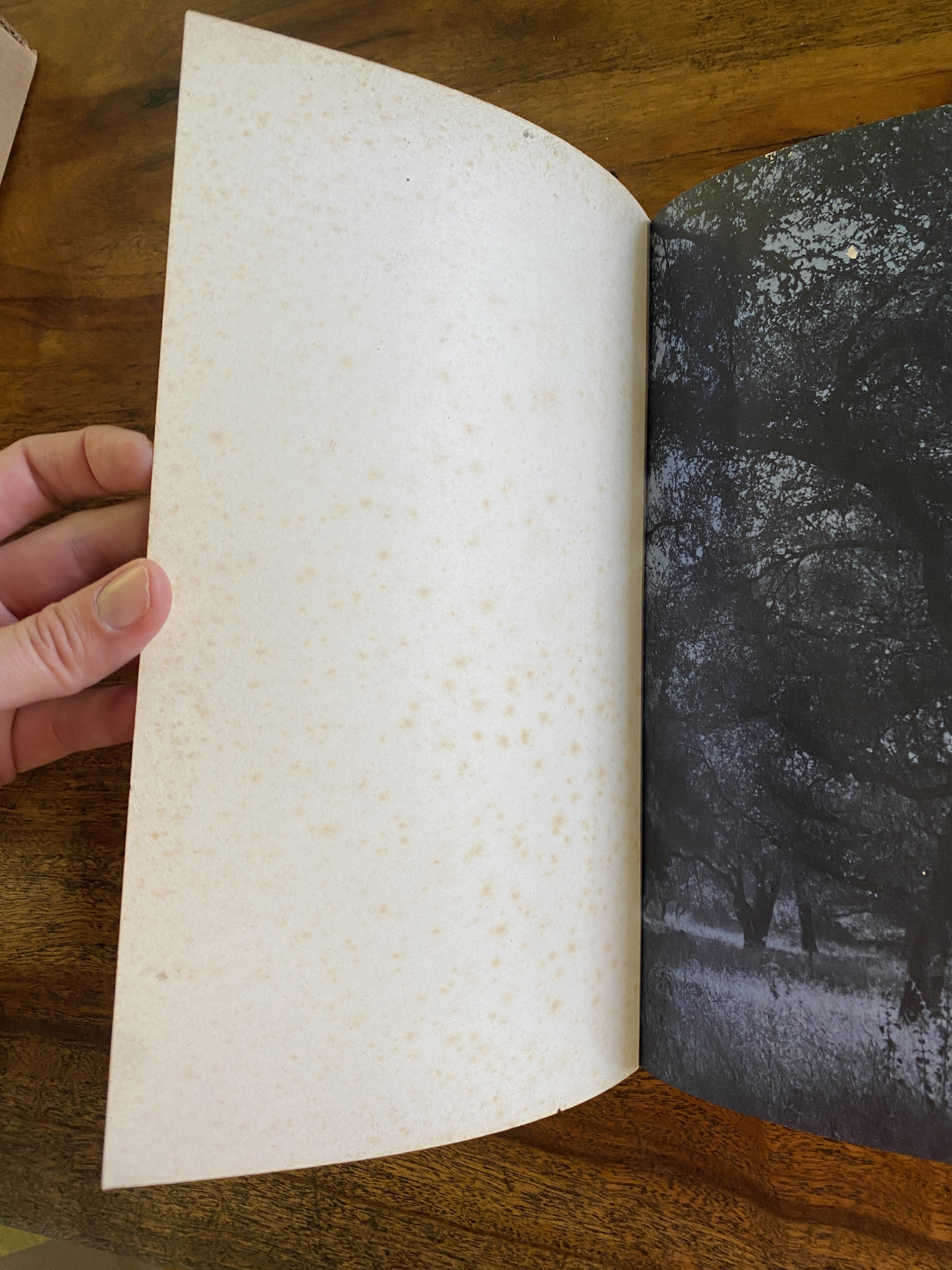 Krishnamurti; 100 Years - Blau, Evelyne