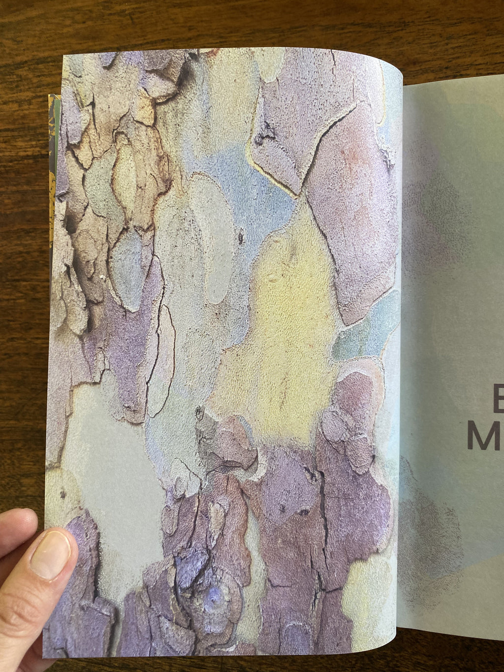 My Forests; Travels With Trees — Burke, Janine
