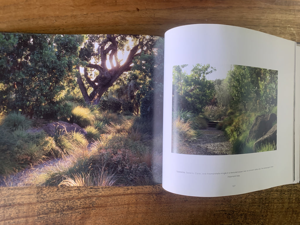 Landprints; The Landscape Design of Bernard Trainor - Heeger, Susan