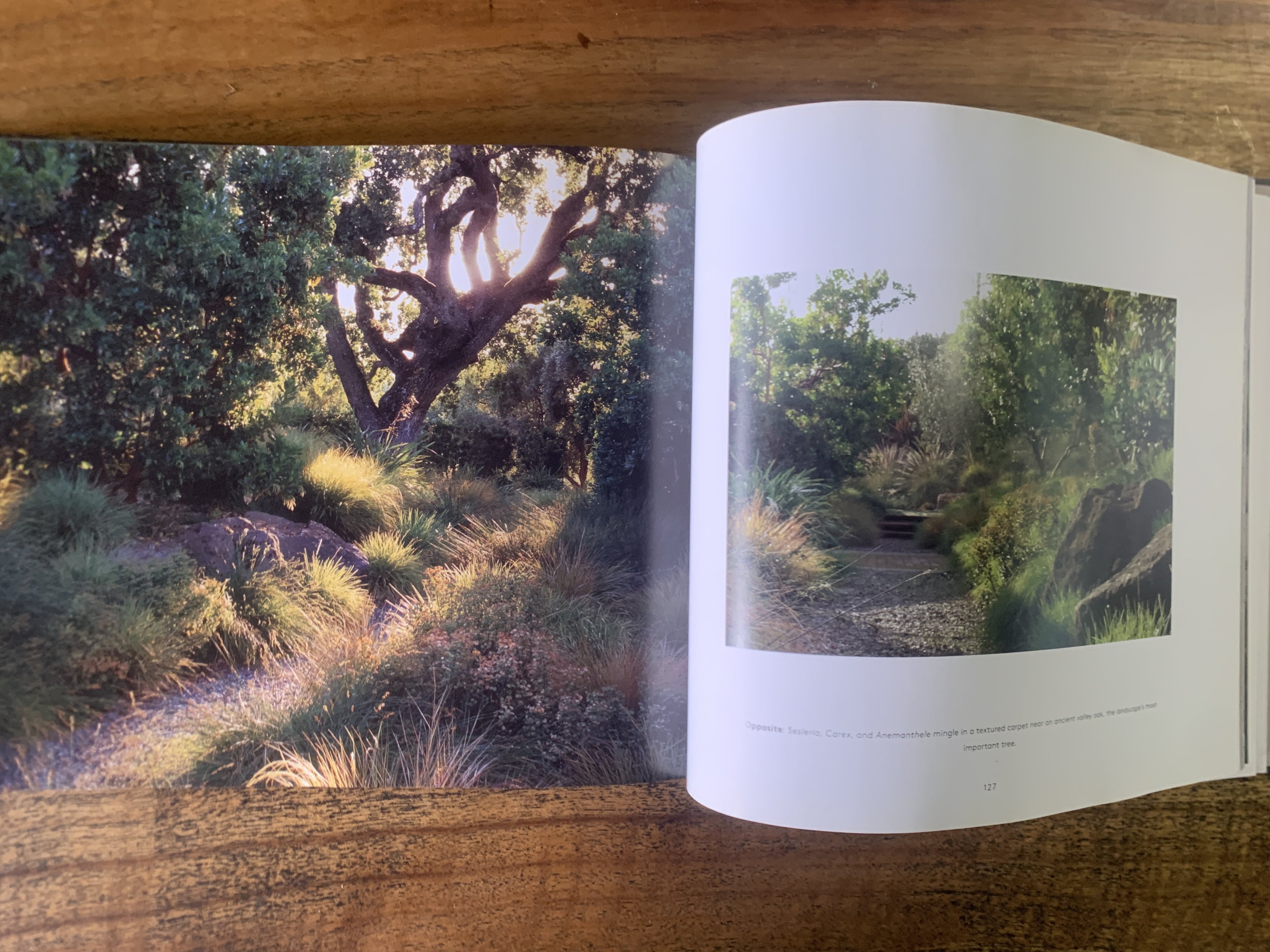 Landprints; The Landscape Design of Bernard Trainor - Heeger, Susan
