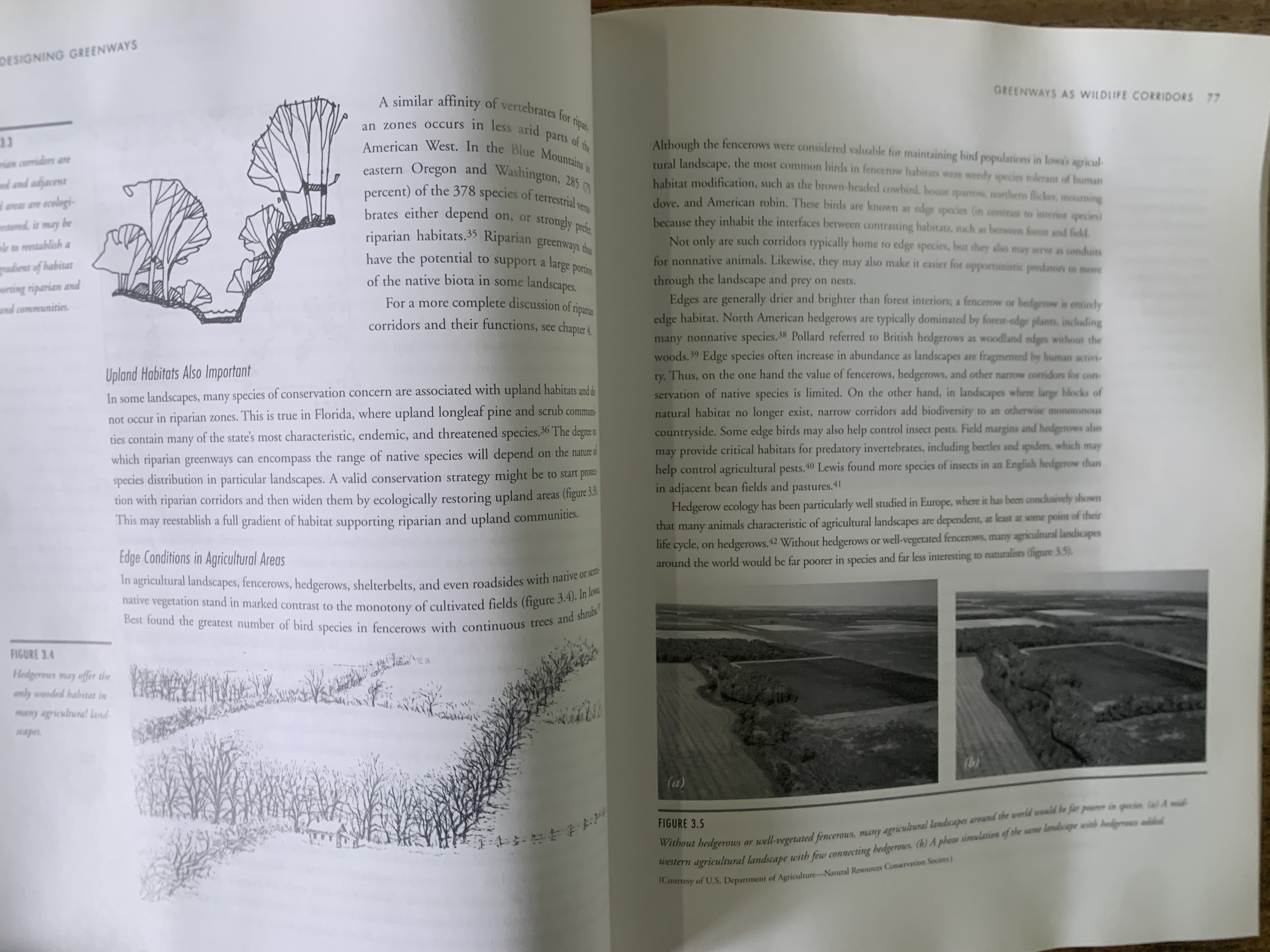 Designing Greenways; Sustainable Landscapes for Nature and People - Hellmund, Paul Cawood & Smith, Daniel Somers
