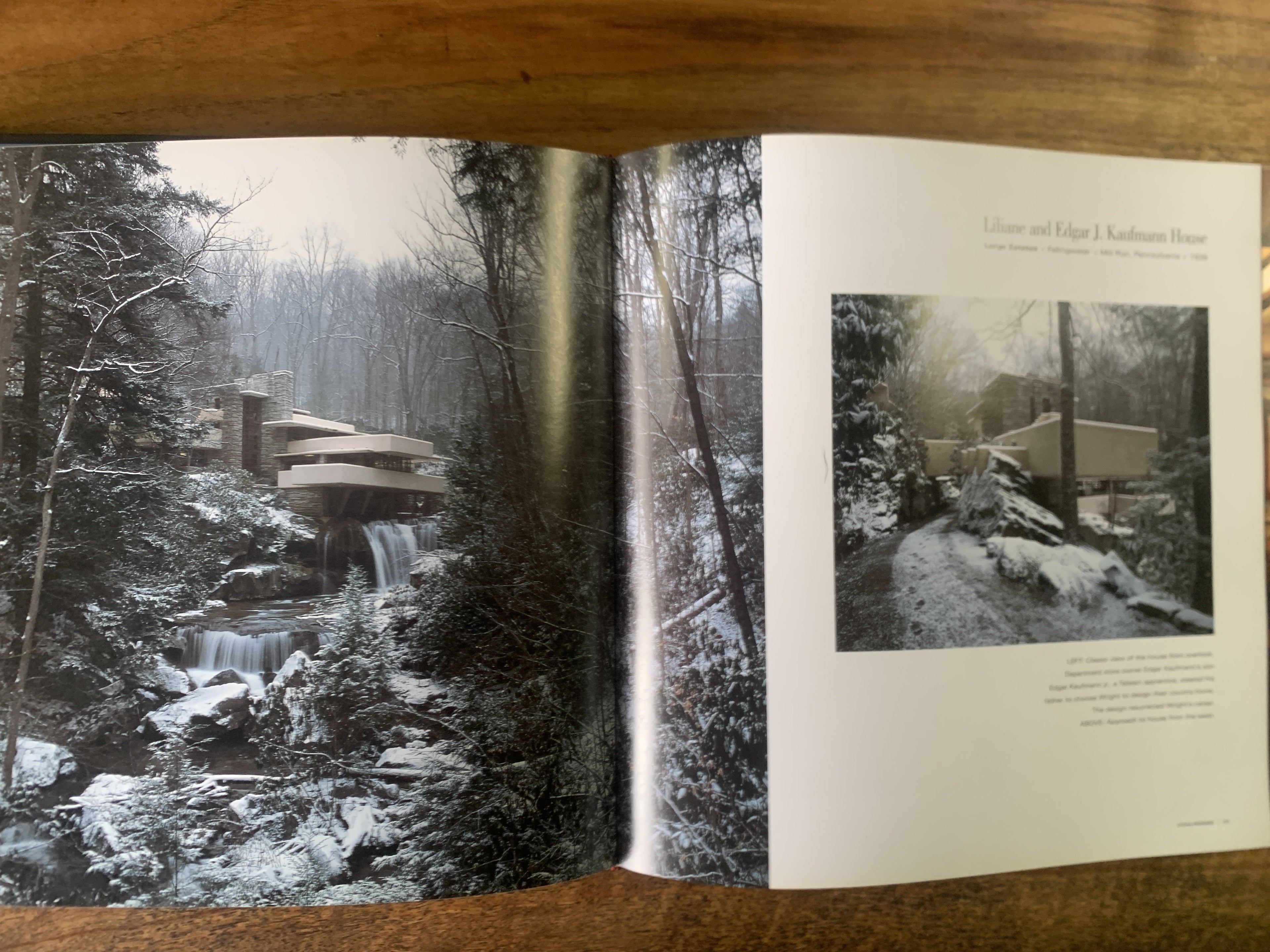 Frank Lloyd Wright; The Houses - Hess, Alan