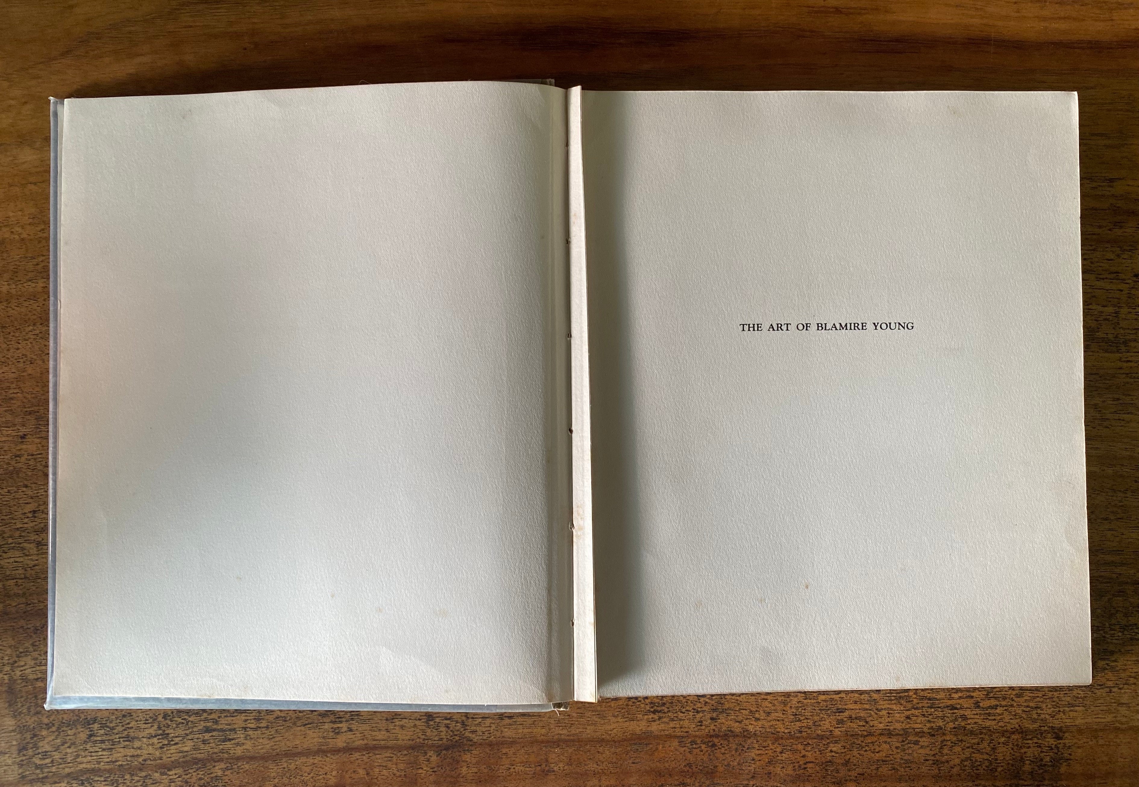 The Art of Blamire Young -