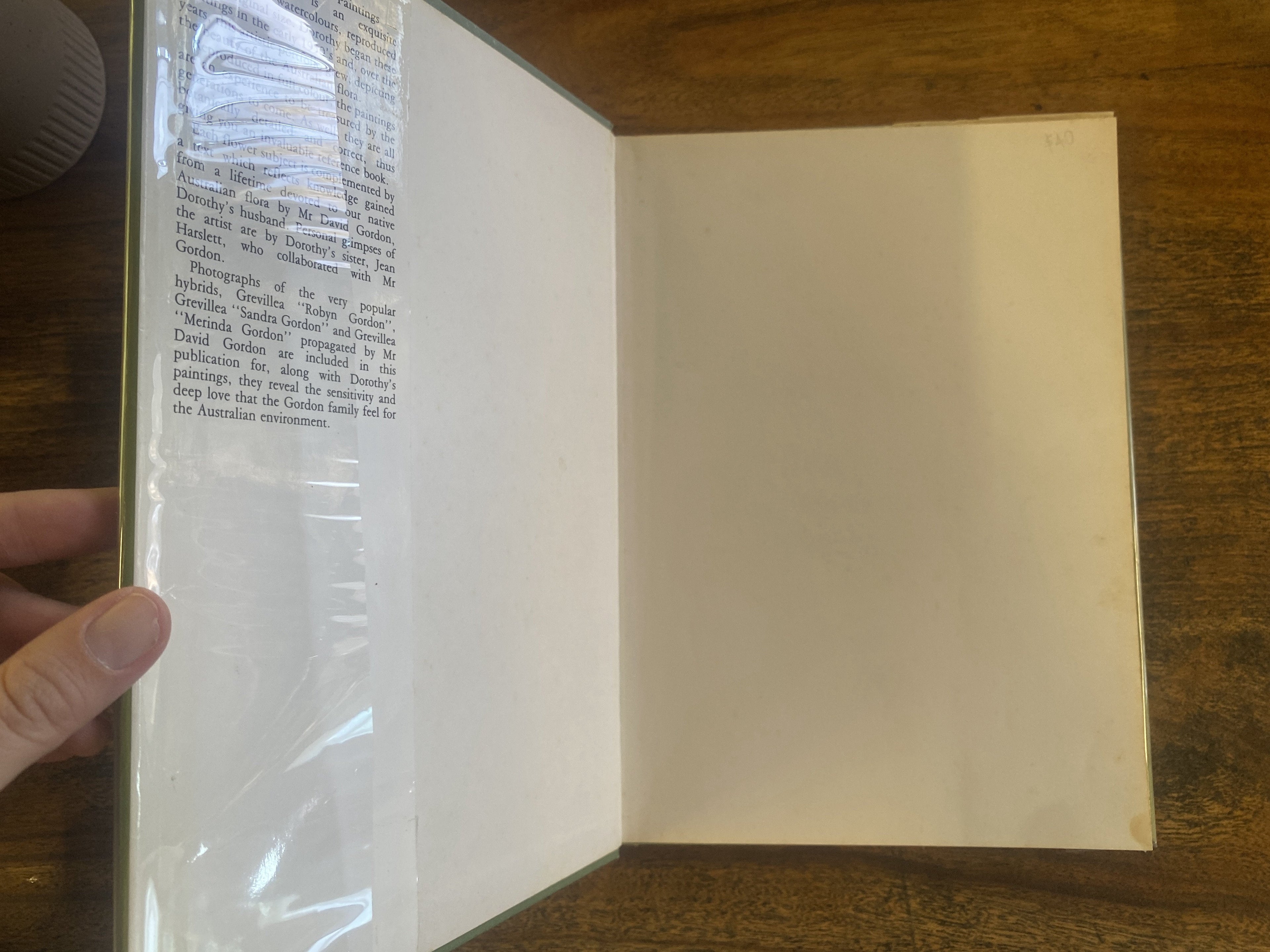 Australian Wildflower Paintings - Gordon, Dorothy