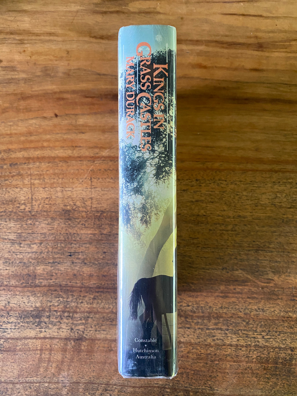 Kings in Grass Castles (Illustrated edition) — Durack, Mary