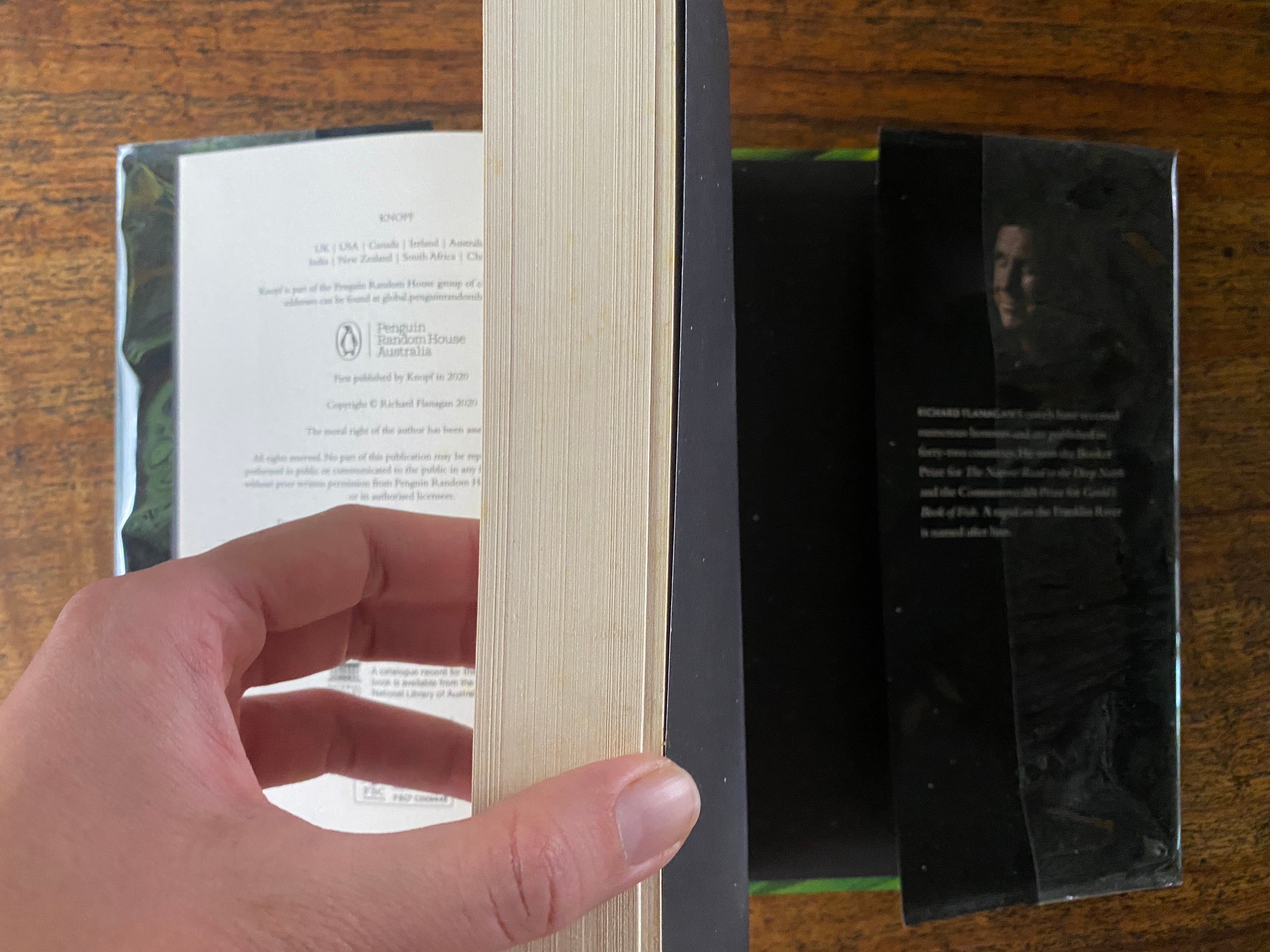 The Living Sea of Waking Dreams — Flanagan, Richard