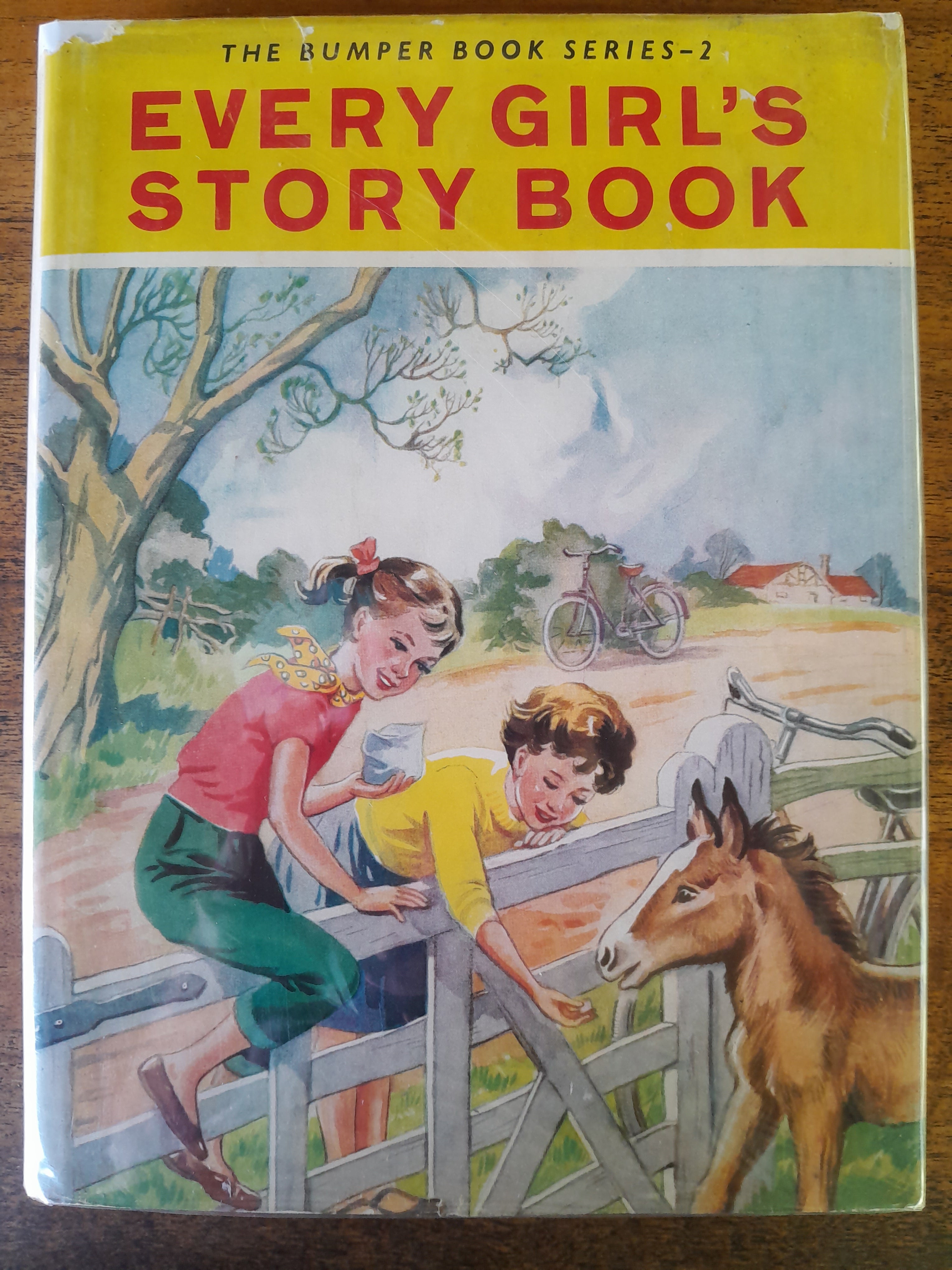 Every Girls Story Book -