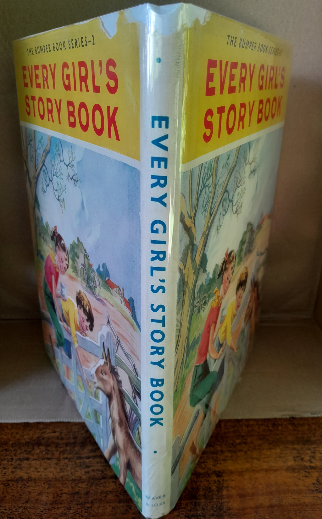 Every Girls Story Book -