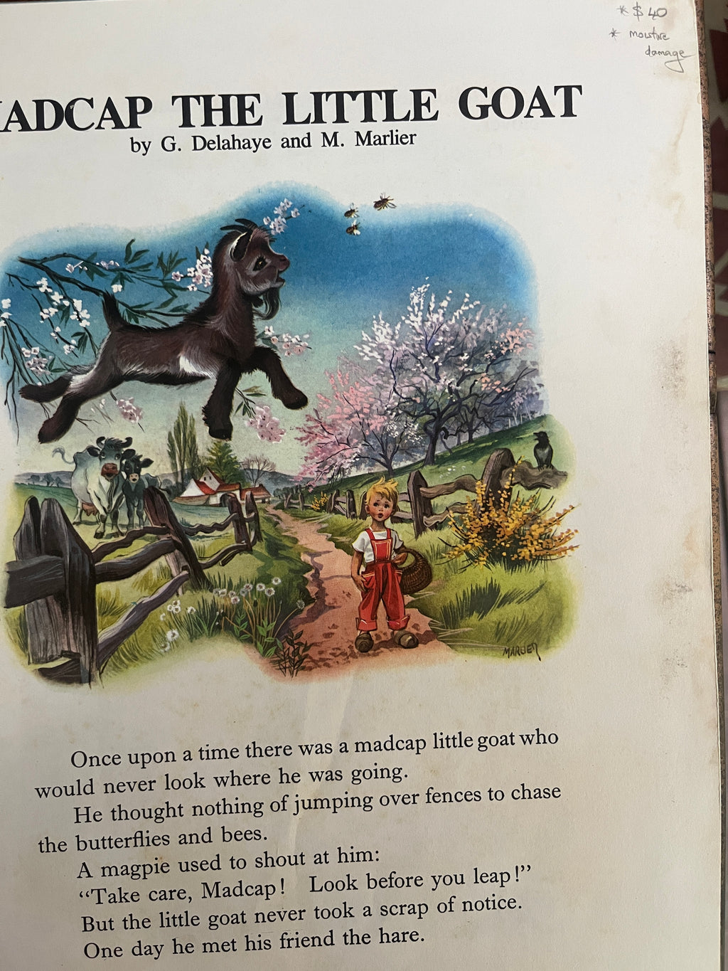 My Playful Pets Book - Ward-lock