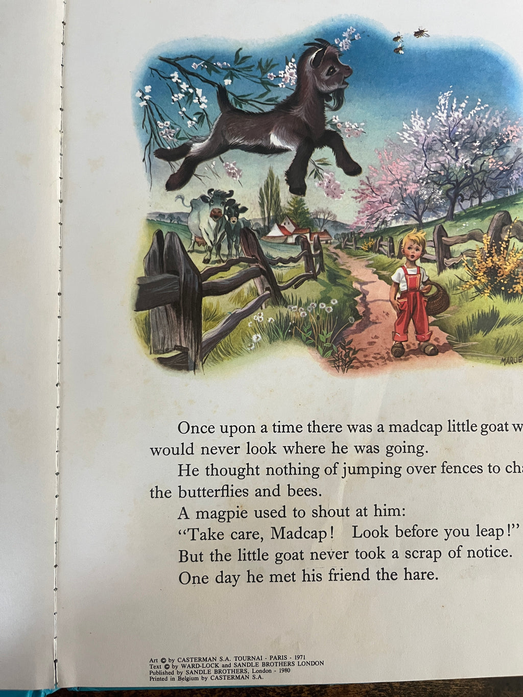 My Playful Pets Book - Ward-lock