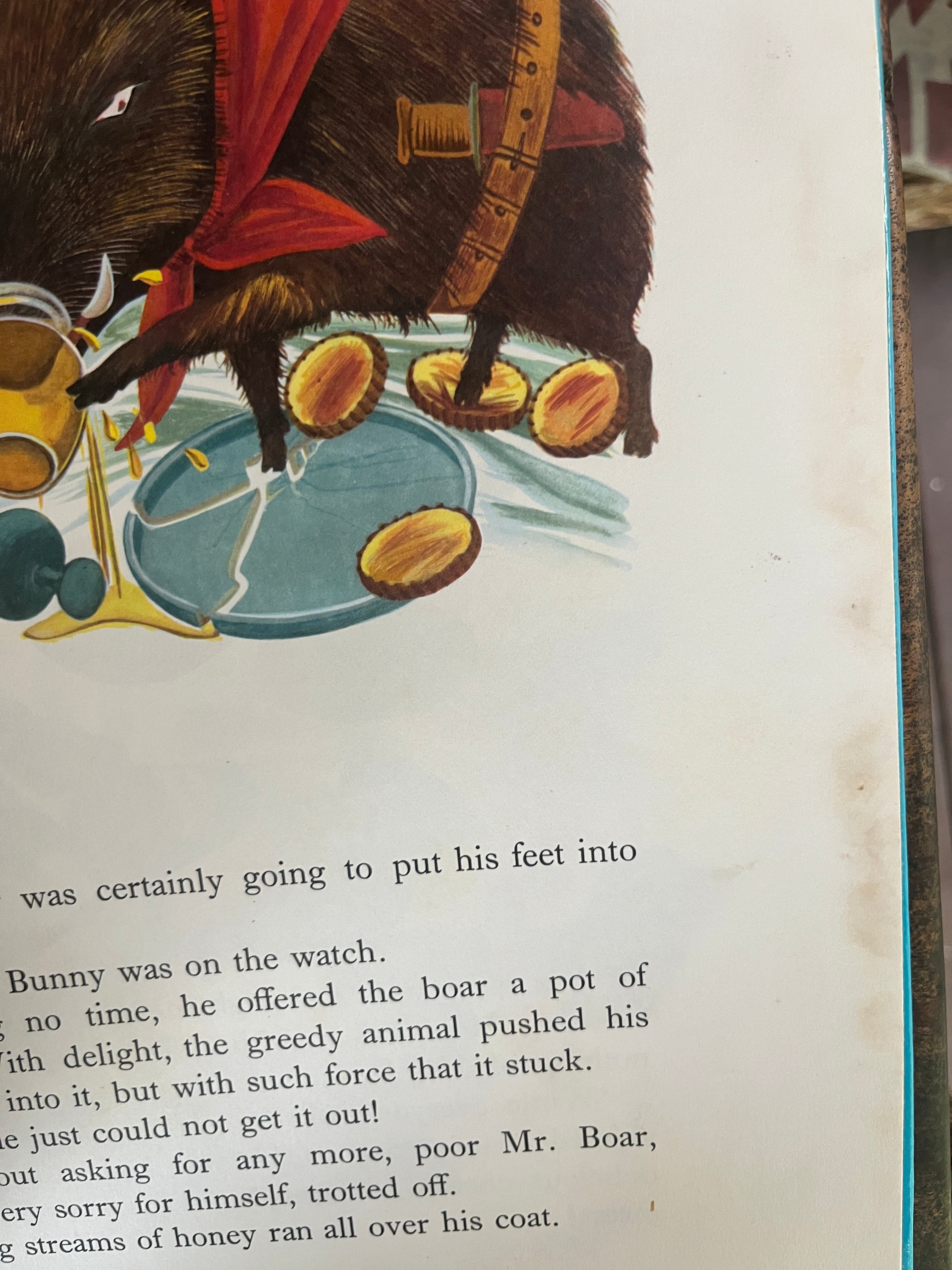 My Playful Pets Book - Ward-lock