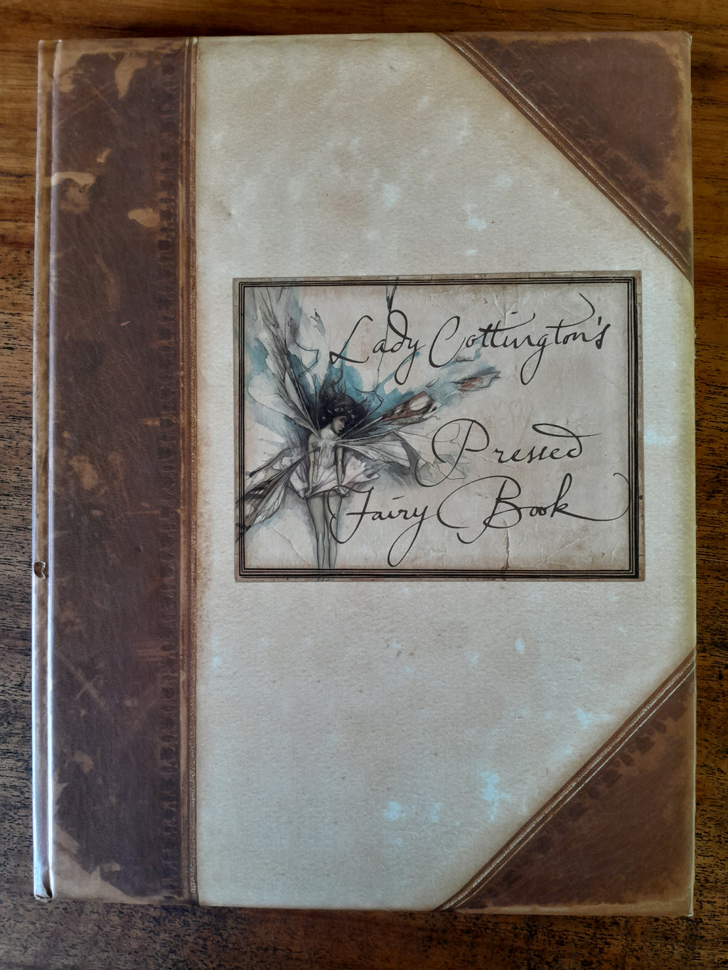 Lady Cottington's Pressed Fairy Book - Jones, Terry