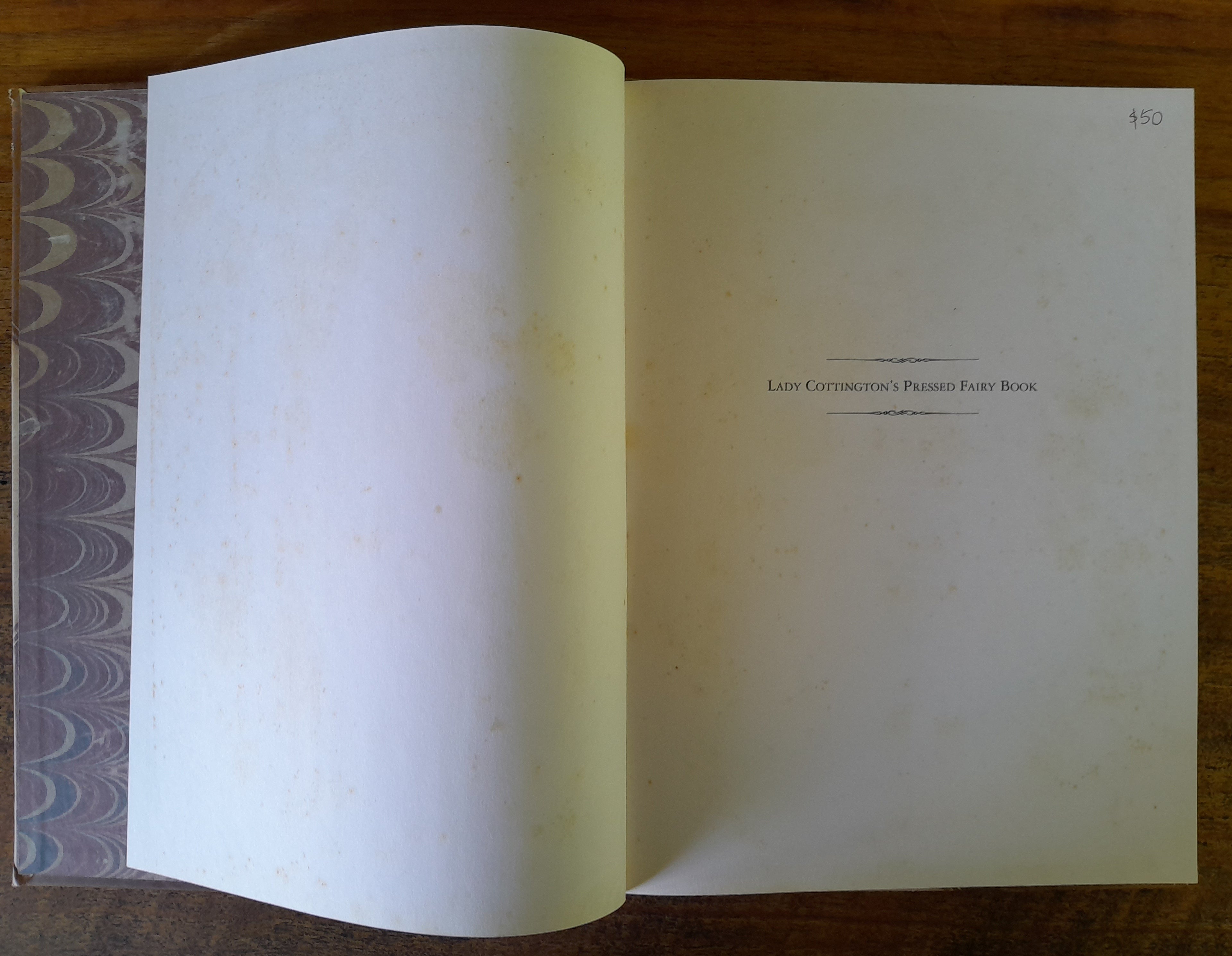 Lady Cottington's Pressed Fairy Book - Jones, Terry