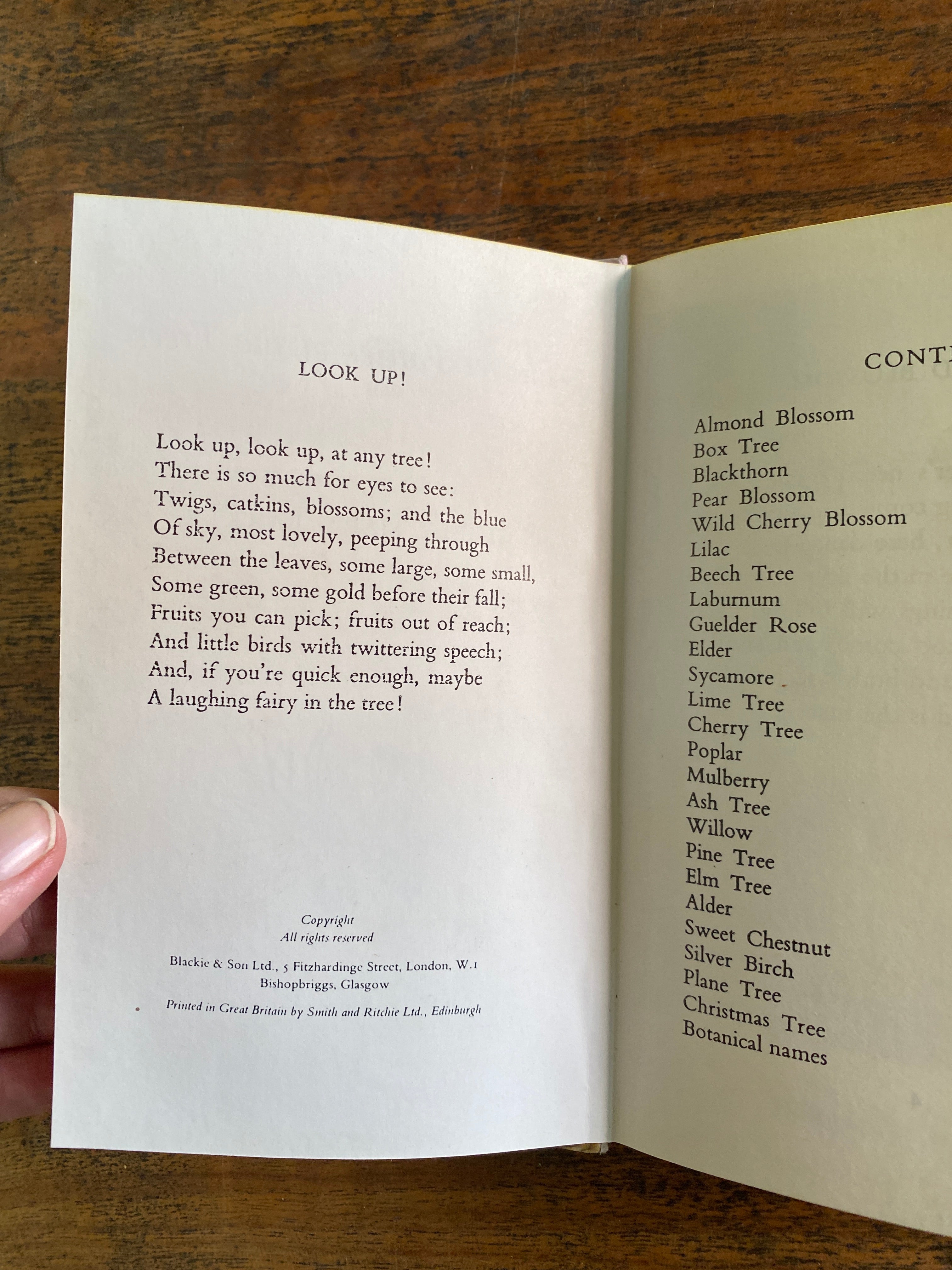 Flower Fairies of the Trees - Barker, Cicely Mary