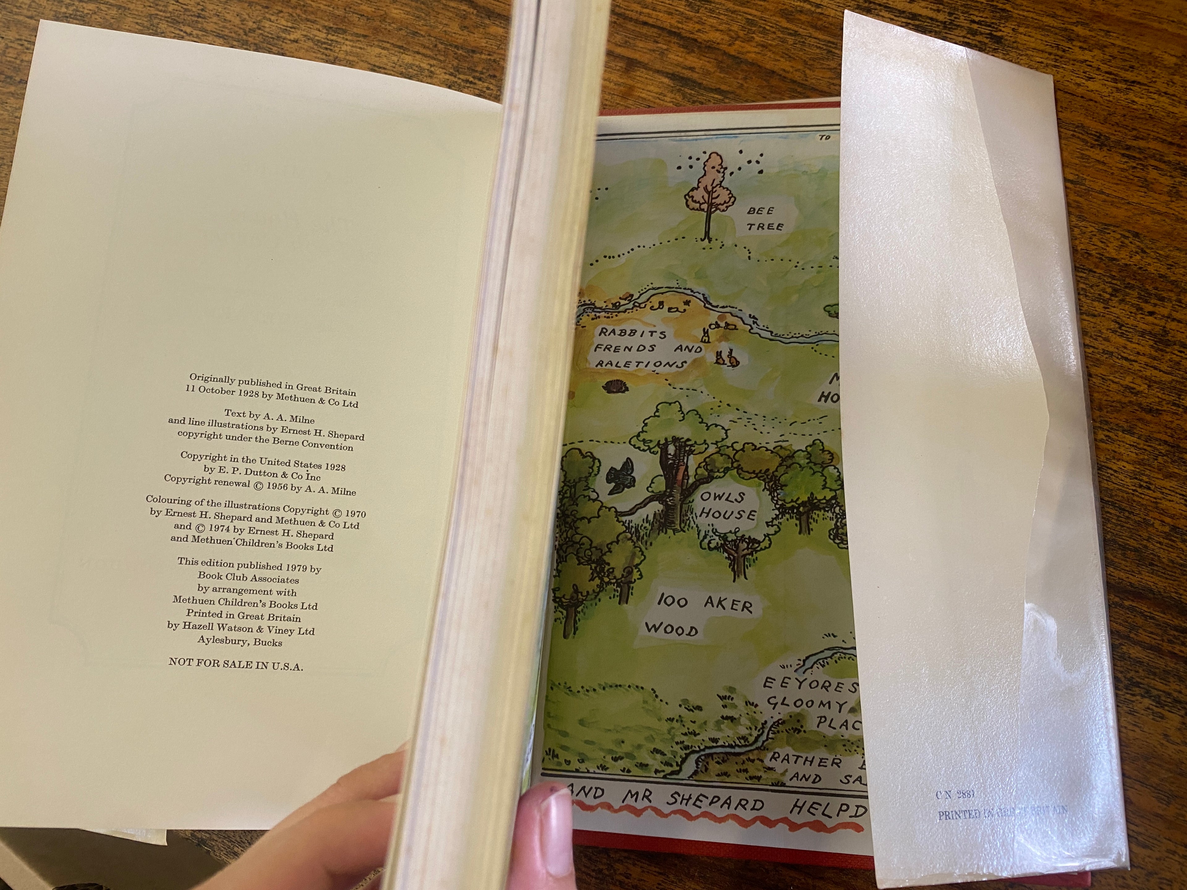 The House at Pooh Corner - Milne, A. A.