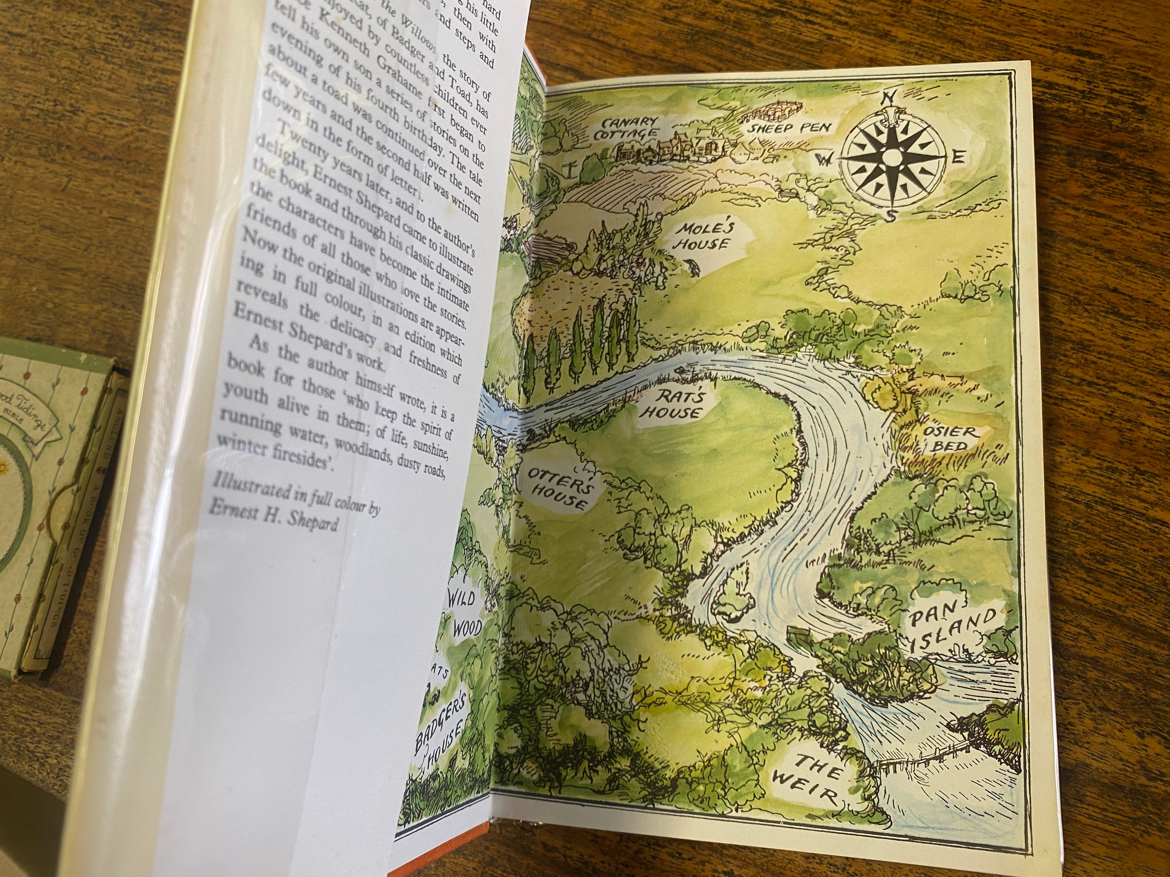 The Wind in the Willows - Grahame