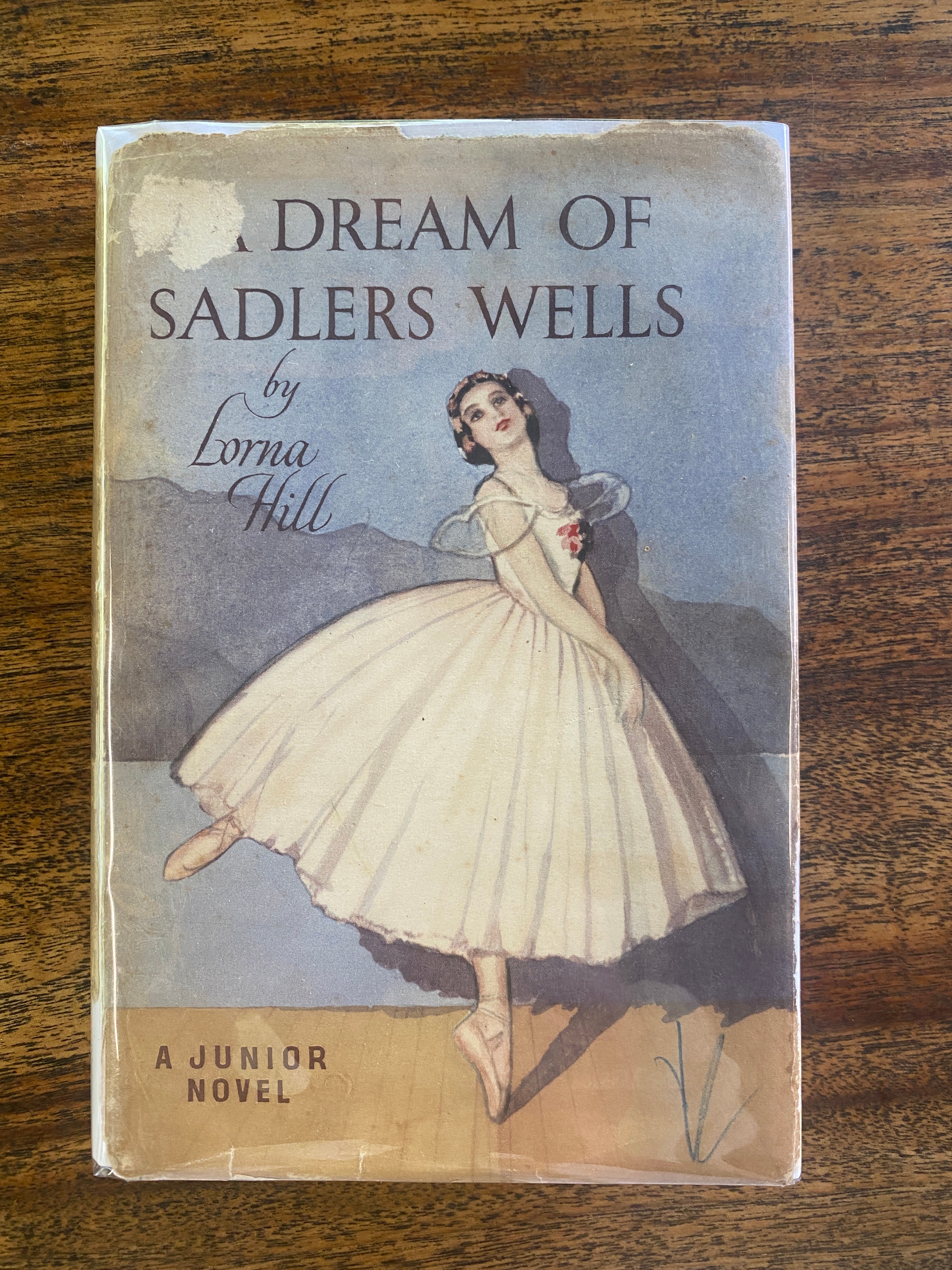 A Dream of Saddler Wells - Hill, Lorna