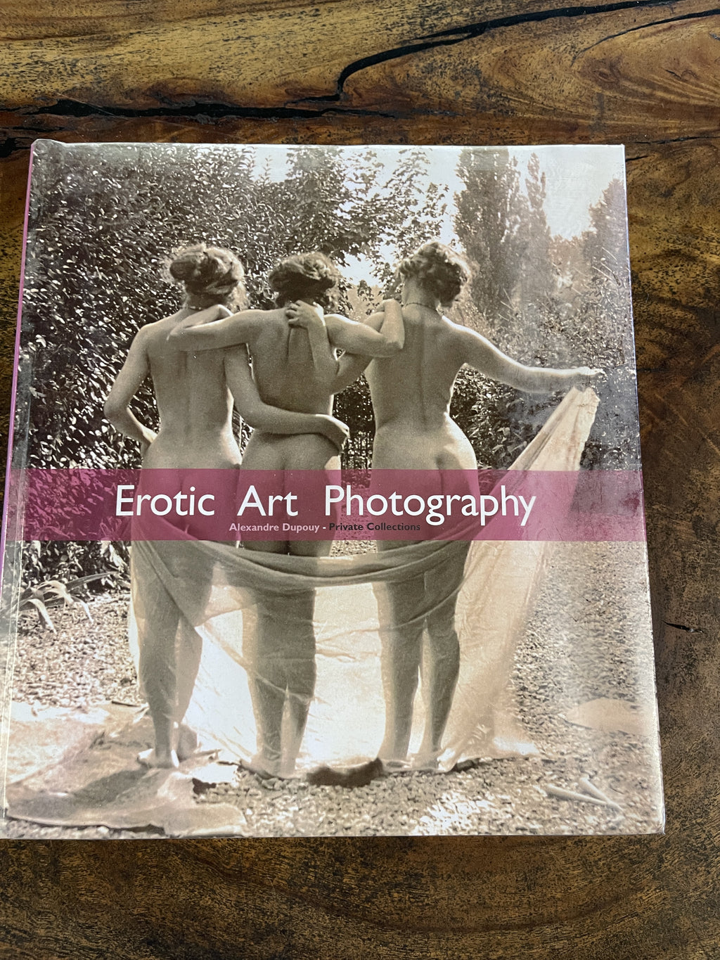 Erotic Art Photography — Dupouy, Alexandre