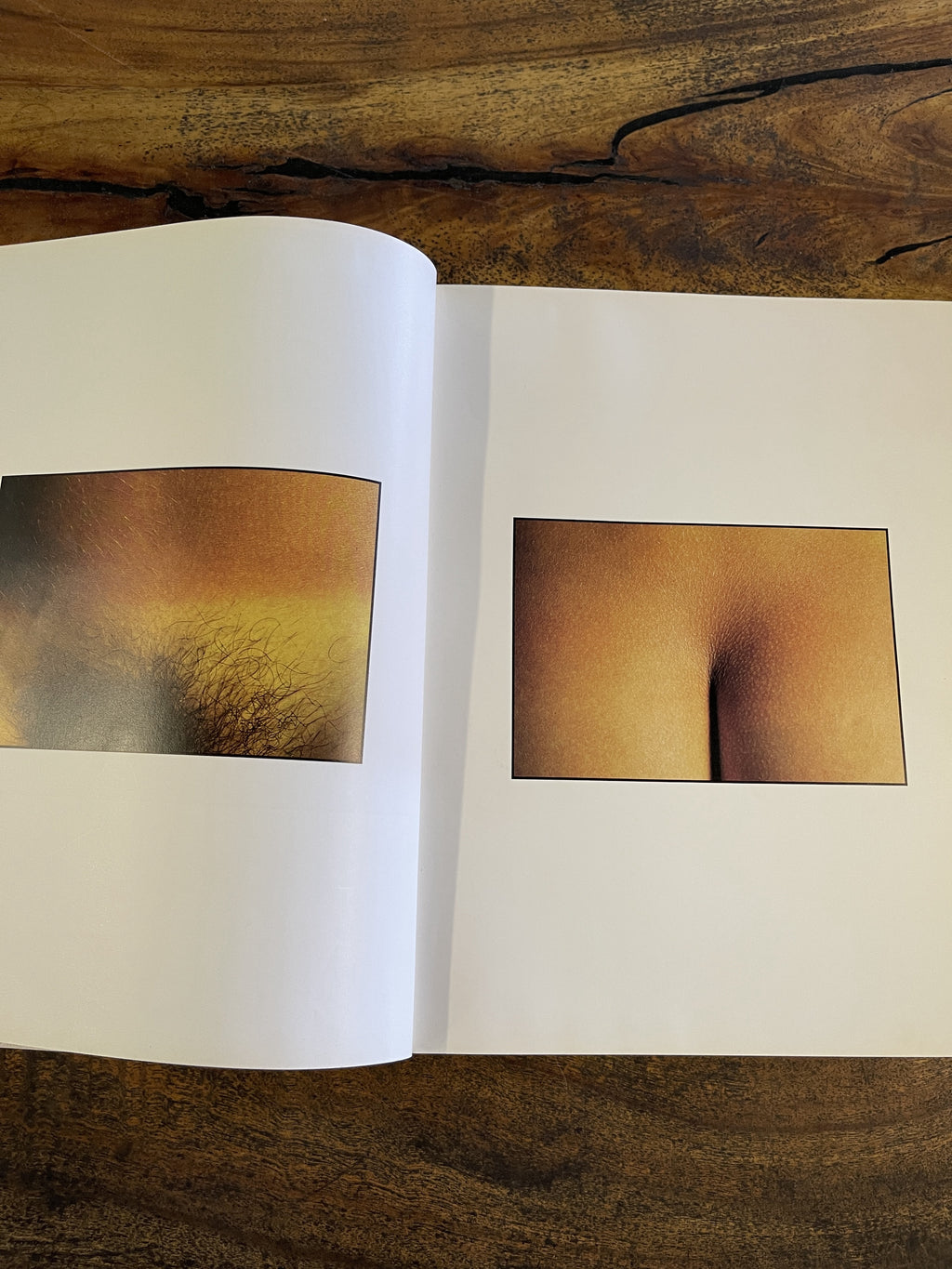Masterpieces of Erotic Photography