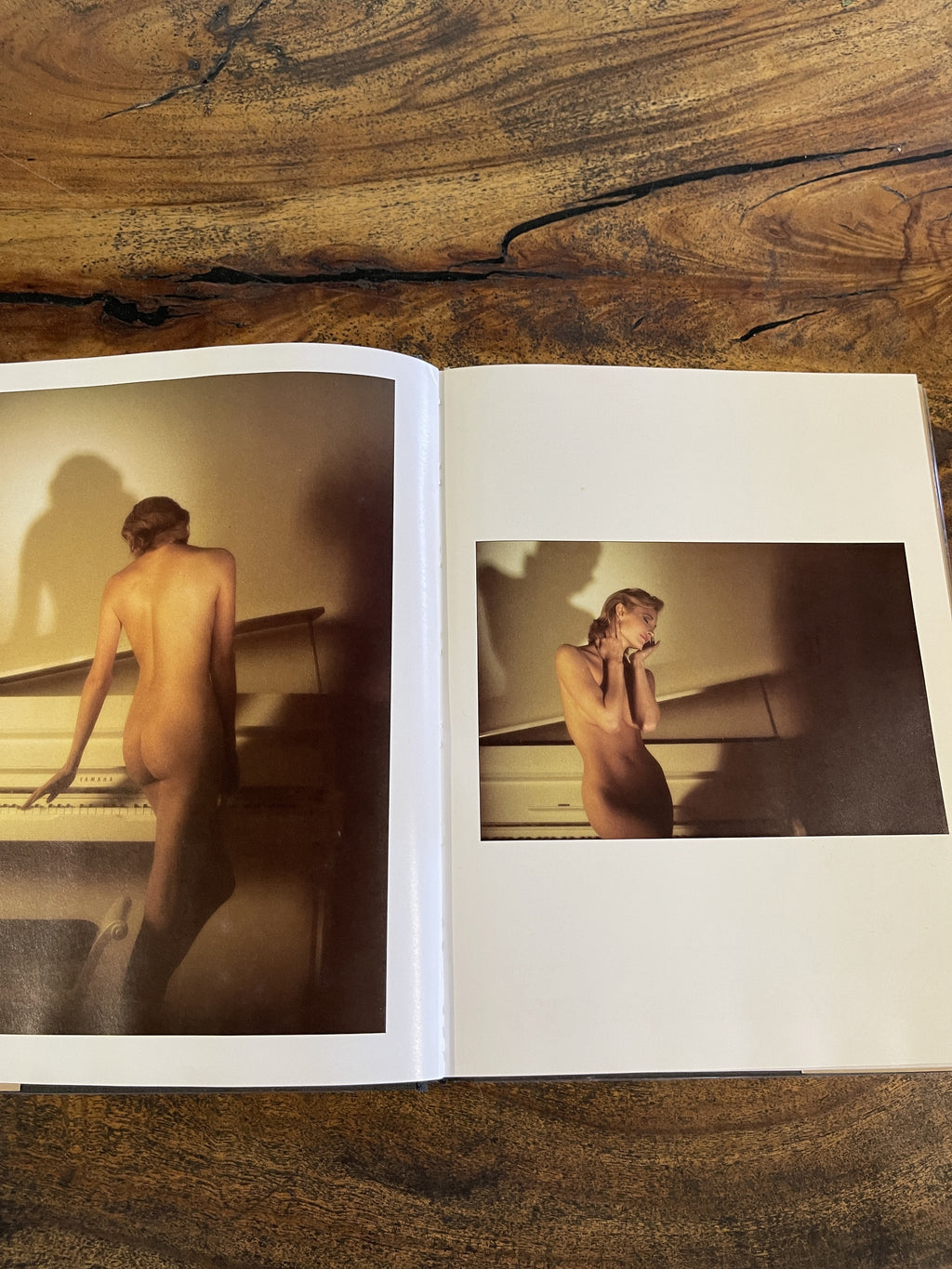 Farber Nudes — Farber, Robert