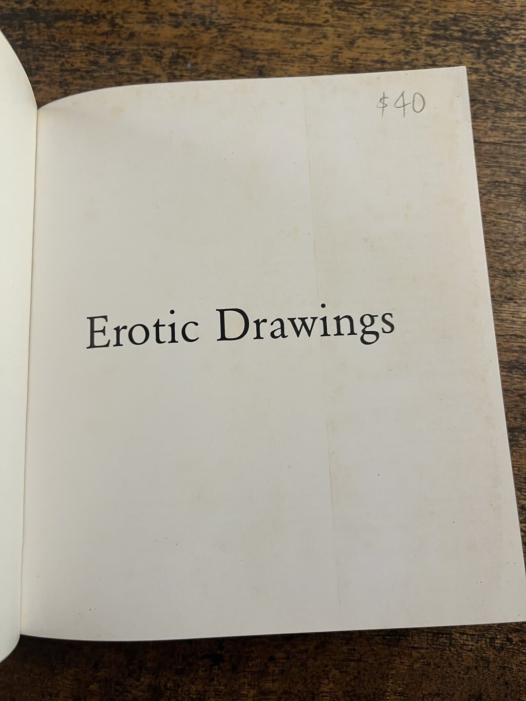 Erotic Drawings