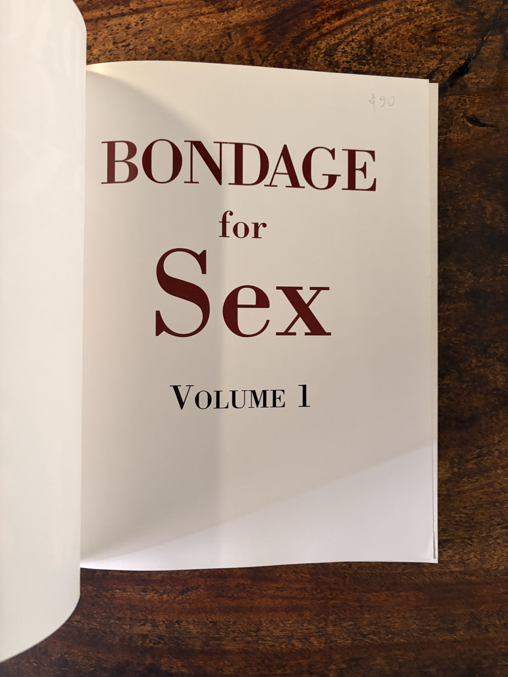 Bondage For Sex Vol 1 — Rose, Chanta