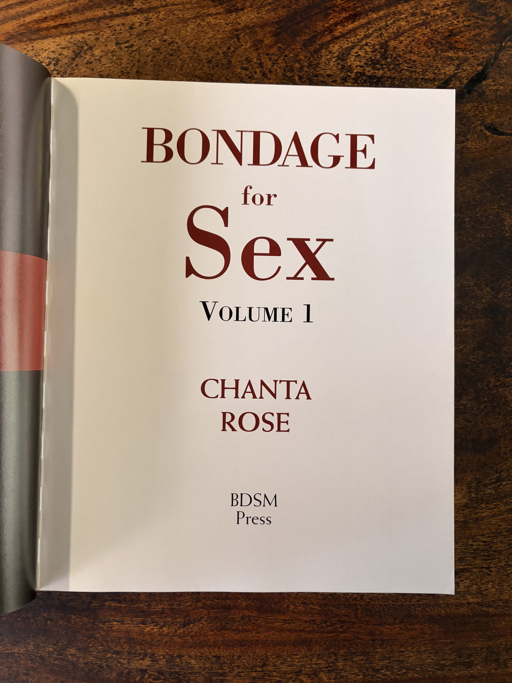 Bondage For Sex Vol 1 — Rose, Chanta