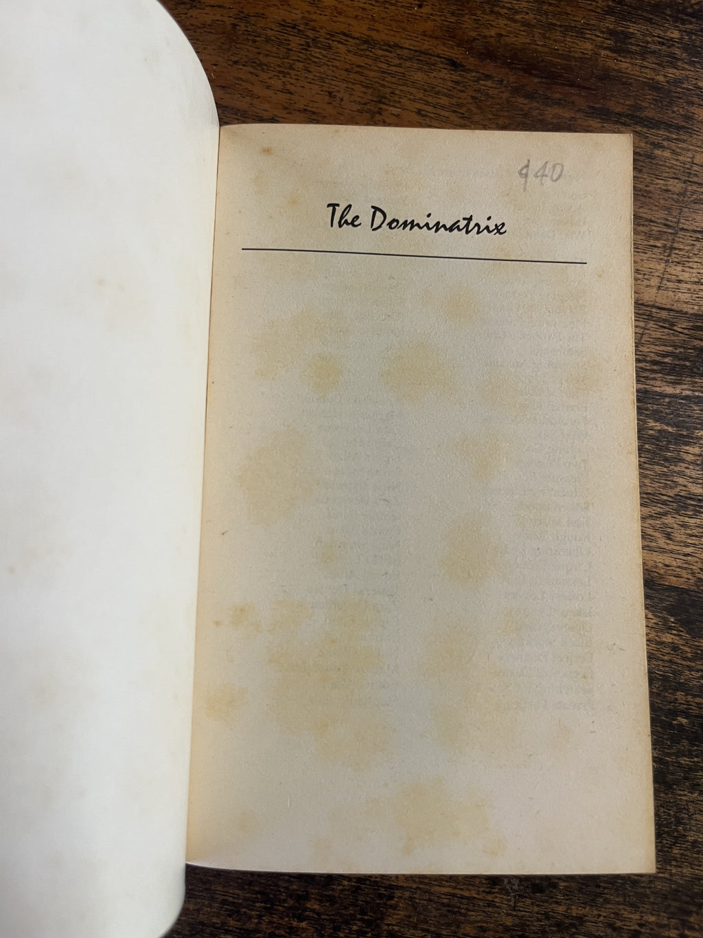The Dominatrix — Emma Allan