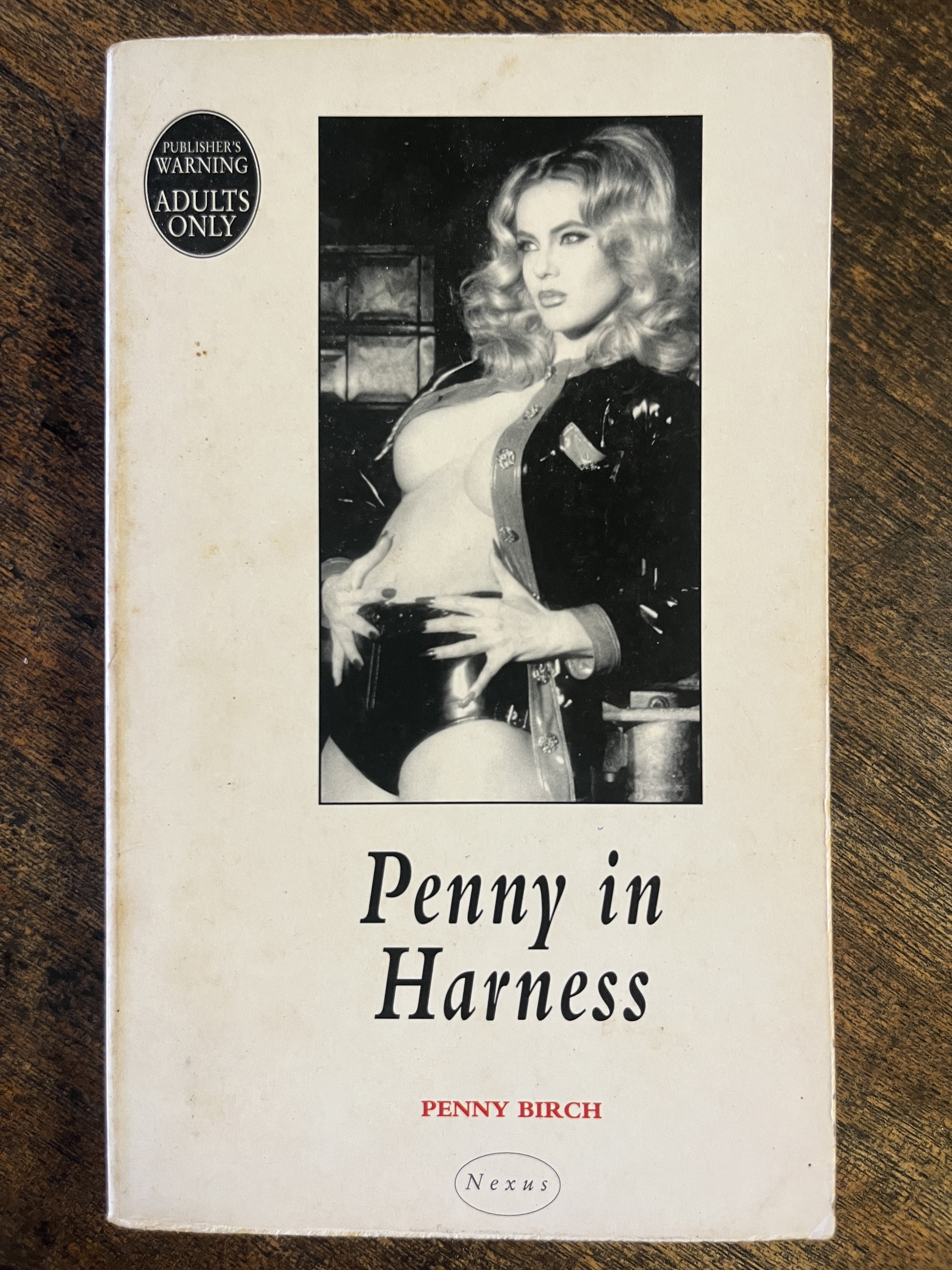 Penny in Harness — Penny Birch