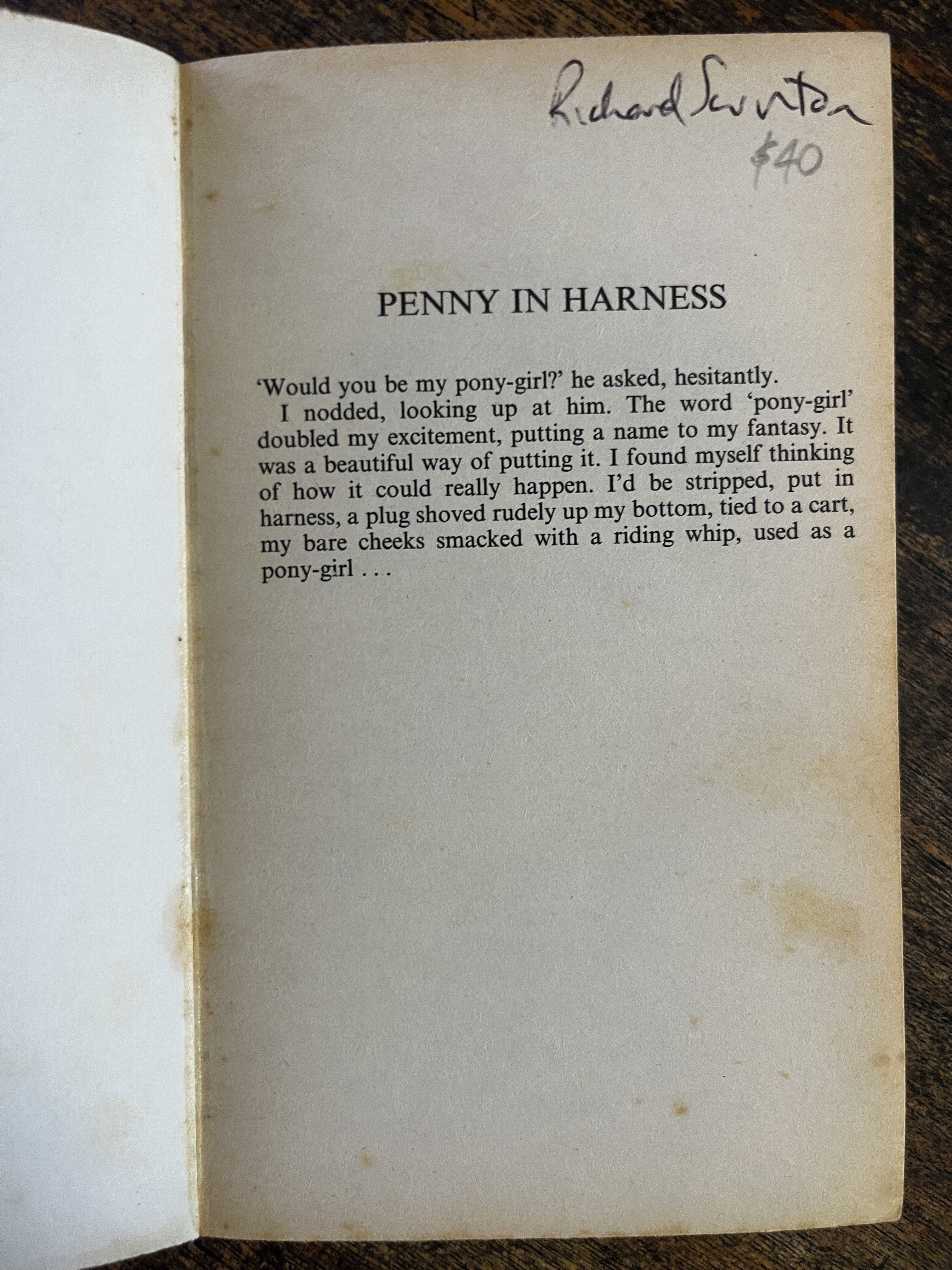 Penny in Harness — Penny Birch