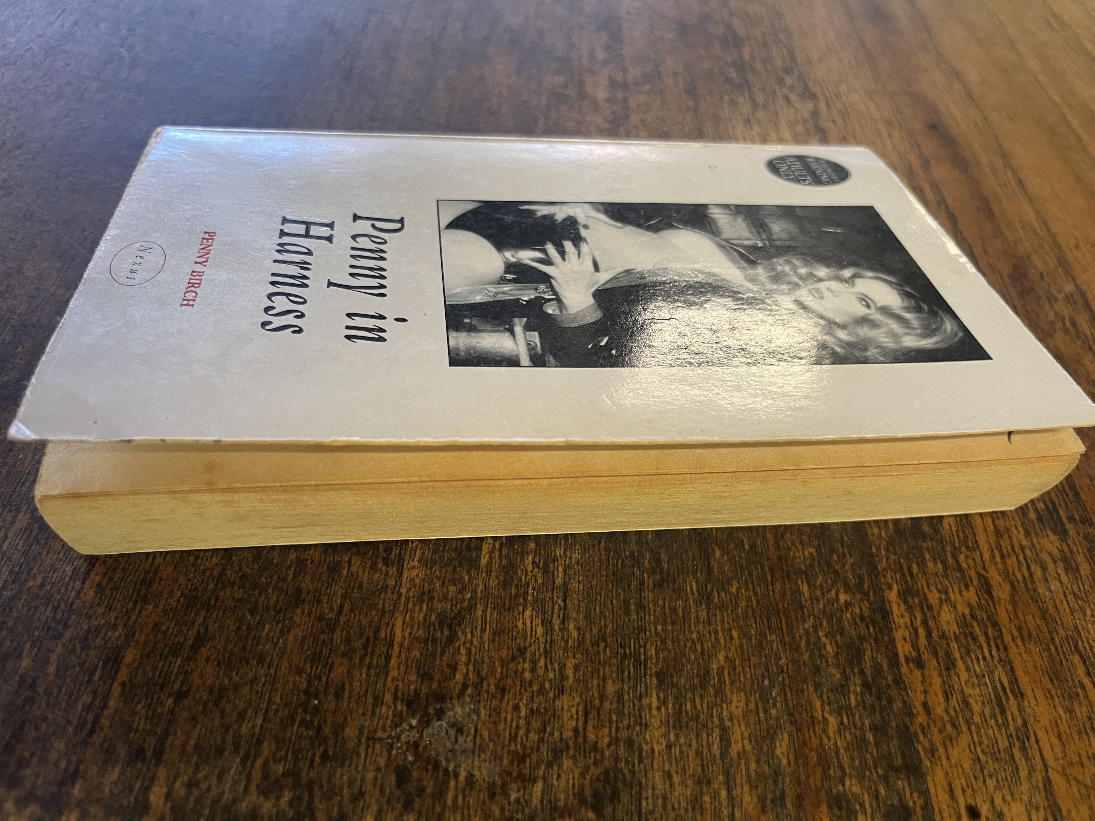 Penny in Harness — Penny Birch