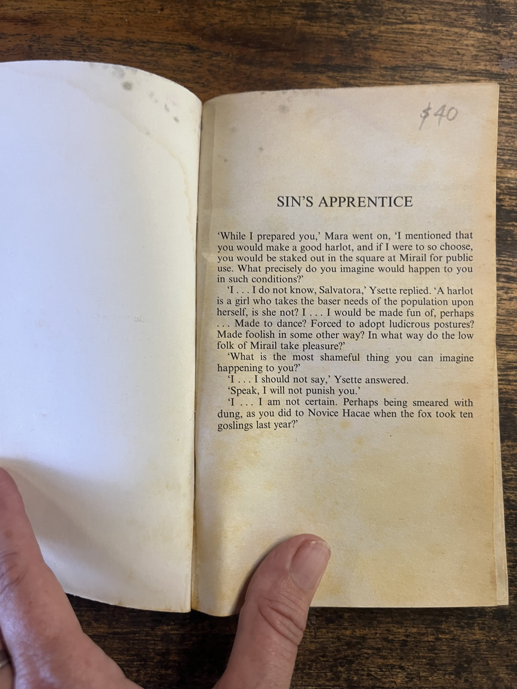Sin's Apprentice — Aishling Morgan