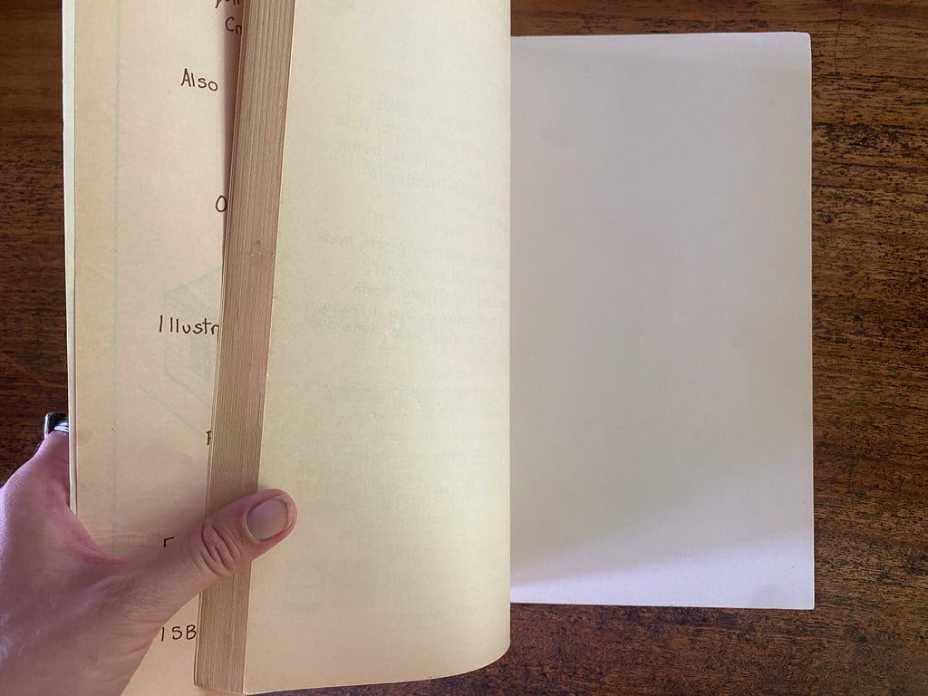 Squirrels Best of one and Two Vegetarian Cookbooks -