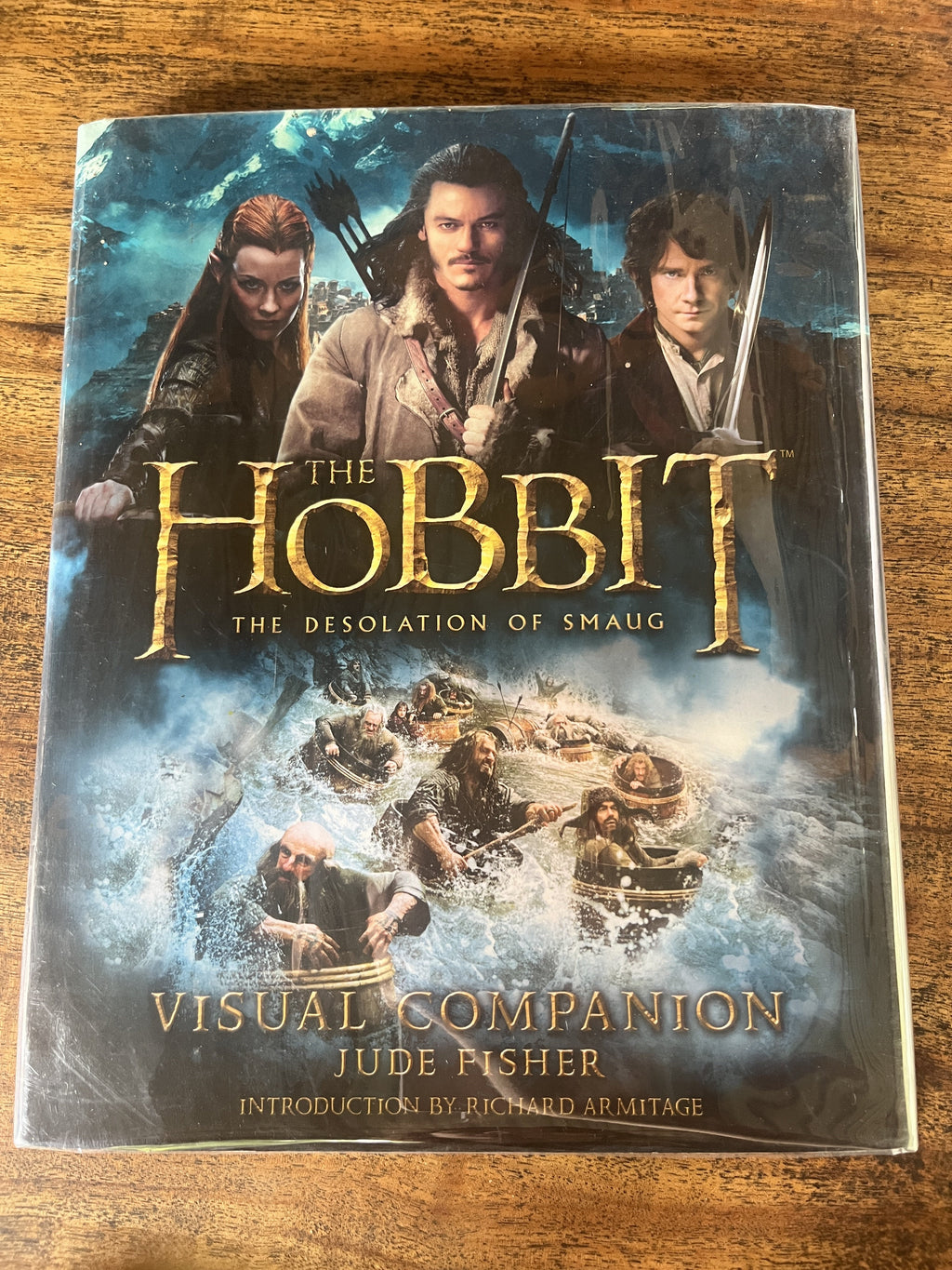 The Hobbit (The Desolation of Smaug) - Fisher, Jude