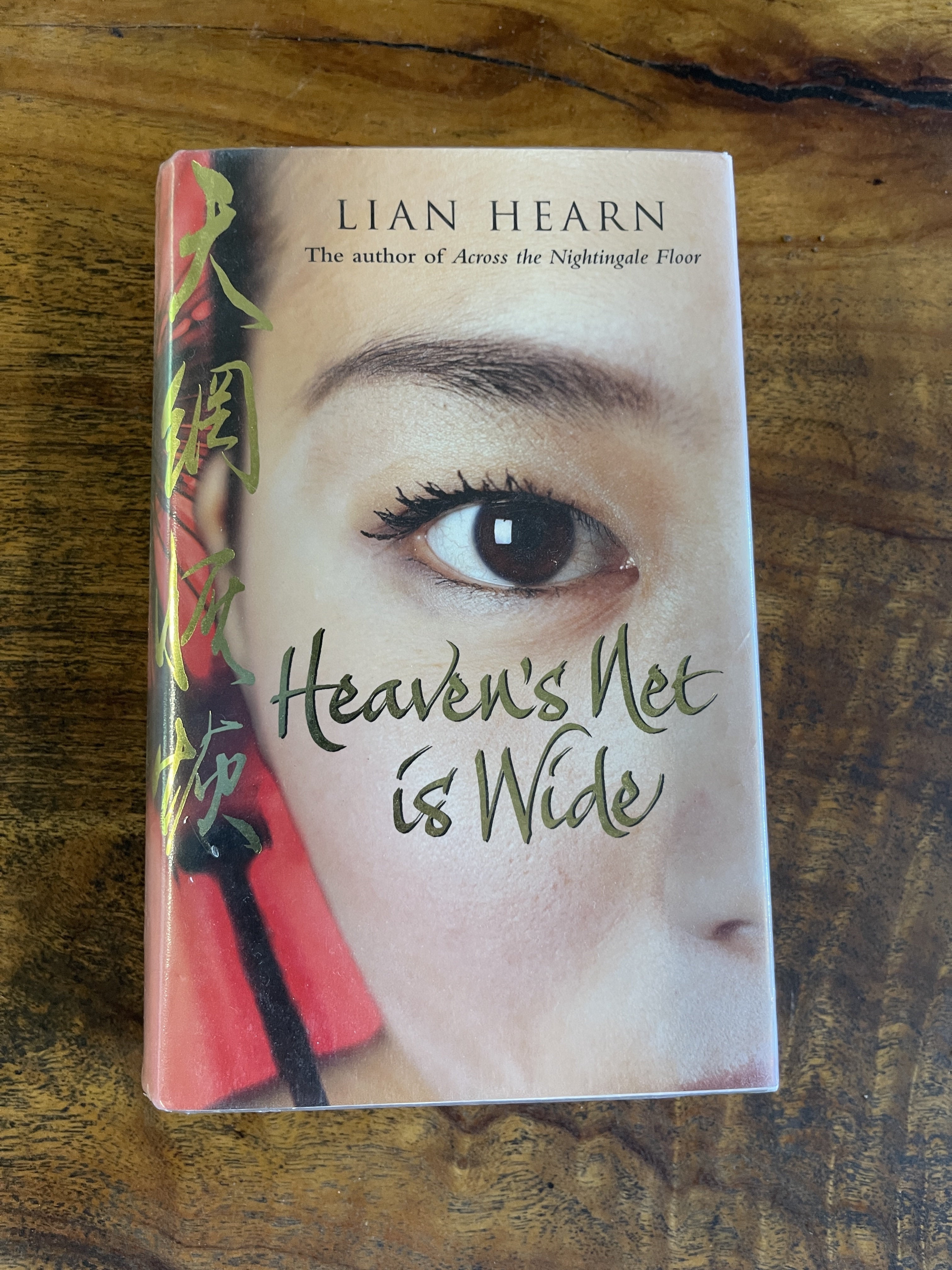 Heaven's Net is Wide - Hearn, Lian