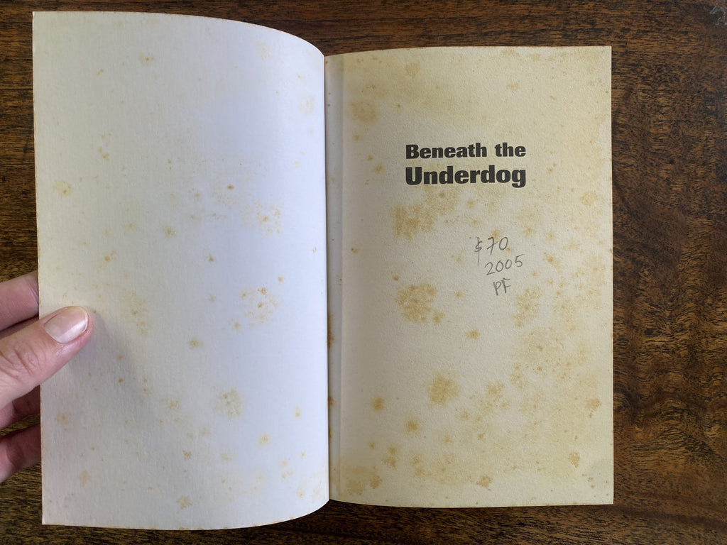 Beneath The Underdog — Mingus, Charles