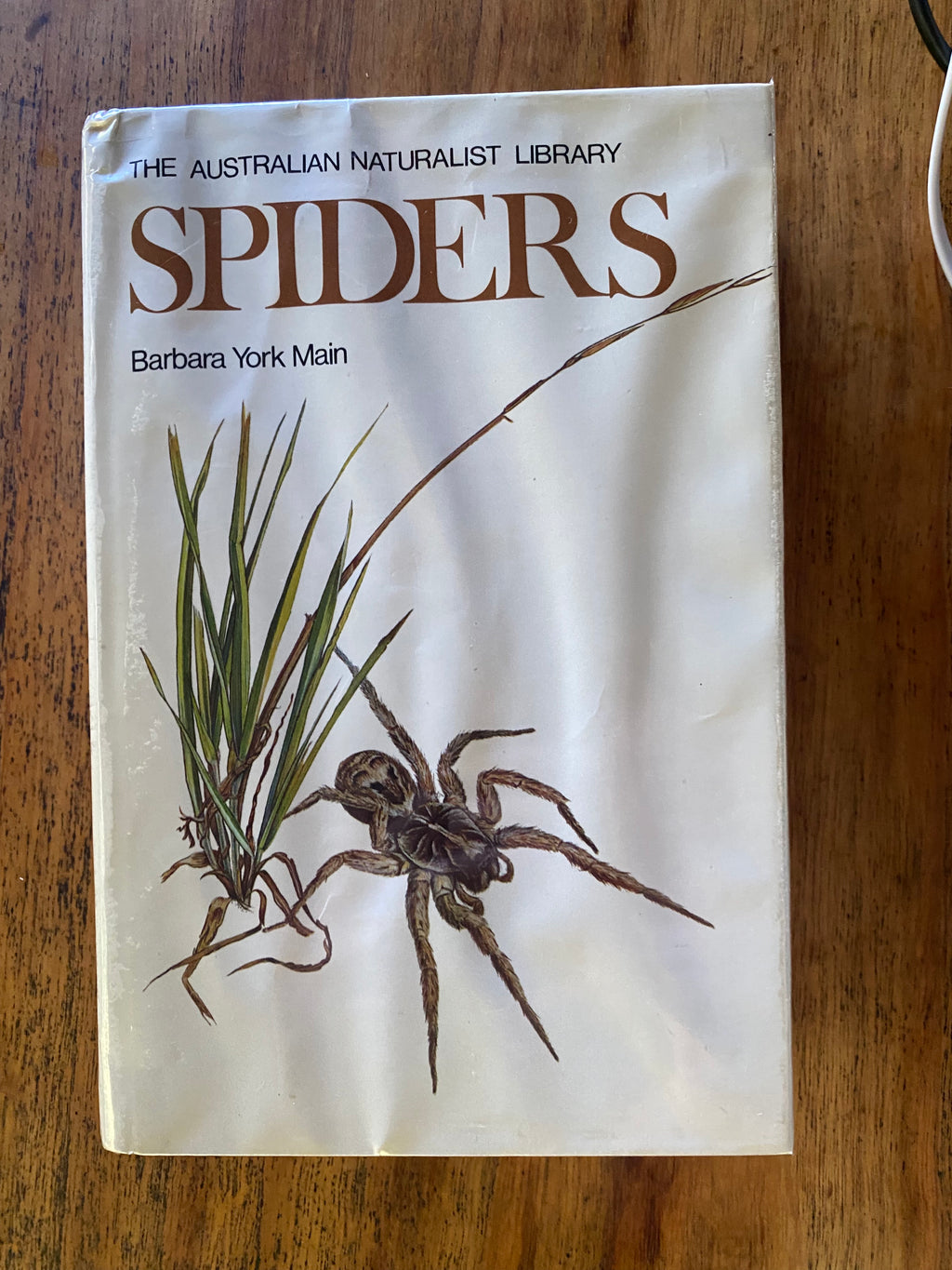Spiders - Main, Barbara York