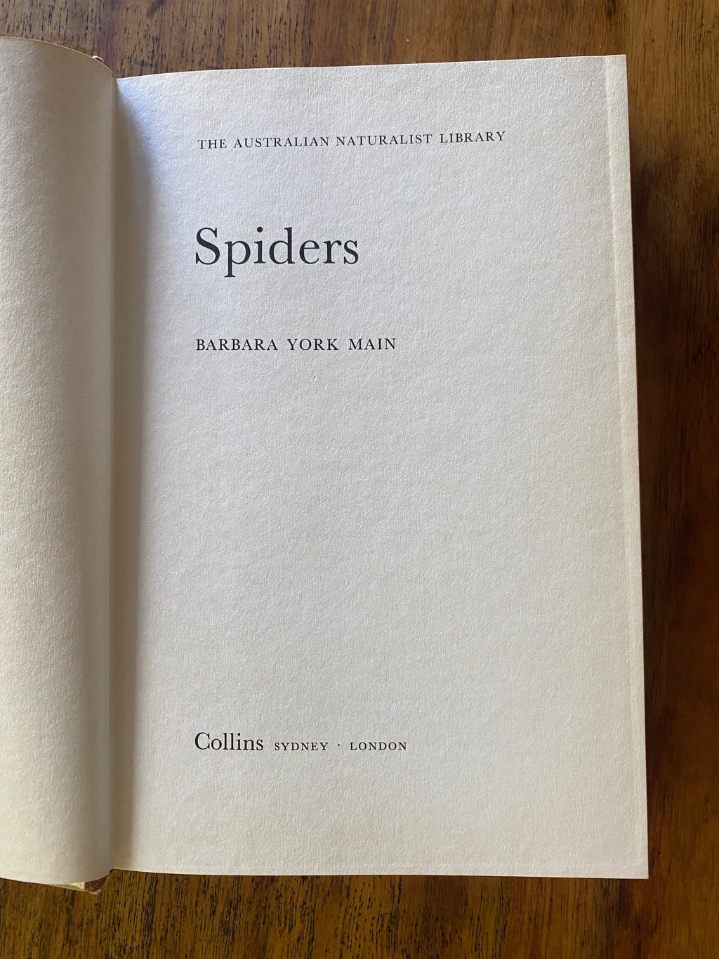 Spiders - Main, Barbara York
