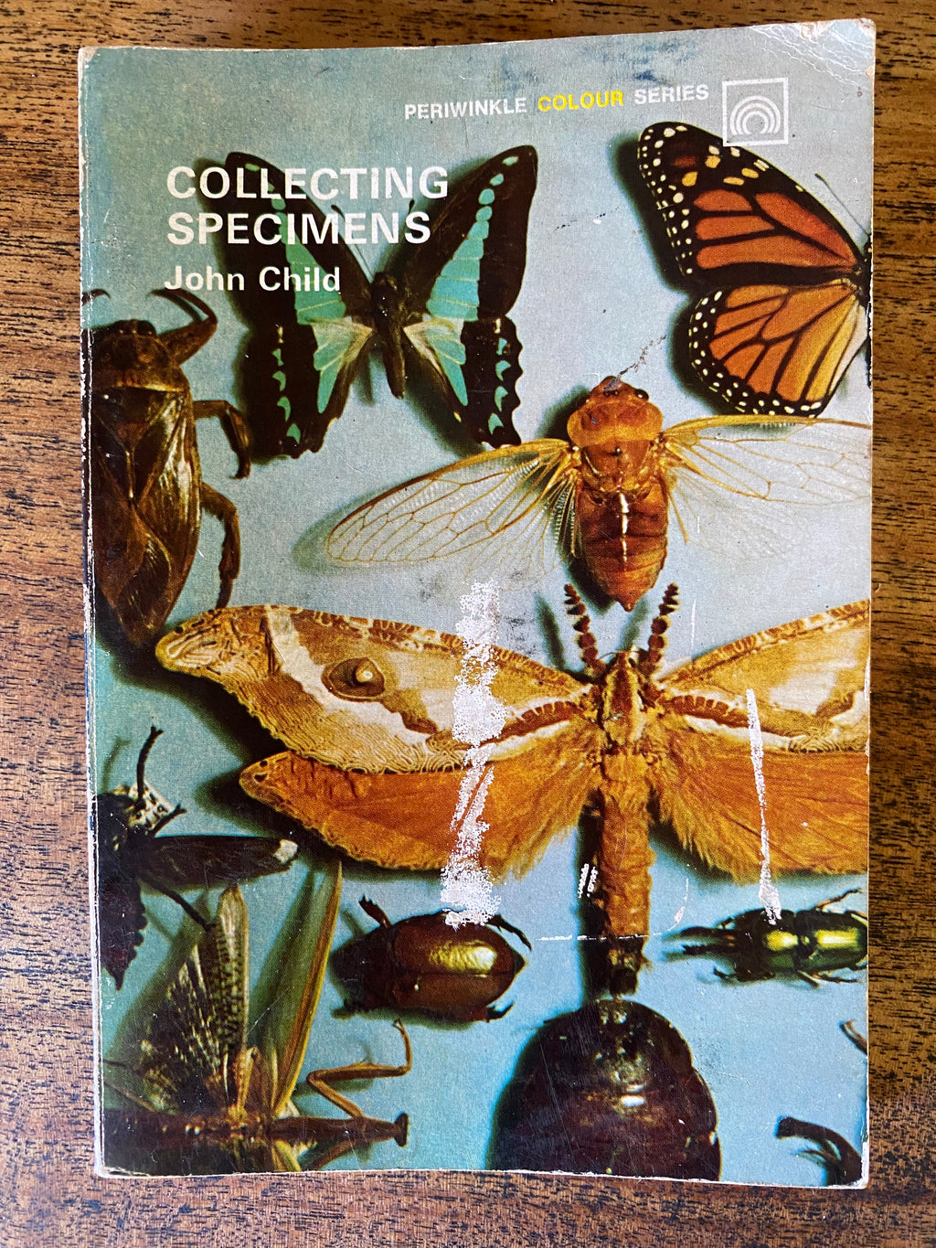 Collecting Specimens - Child, John