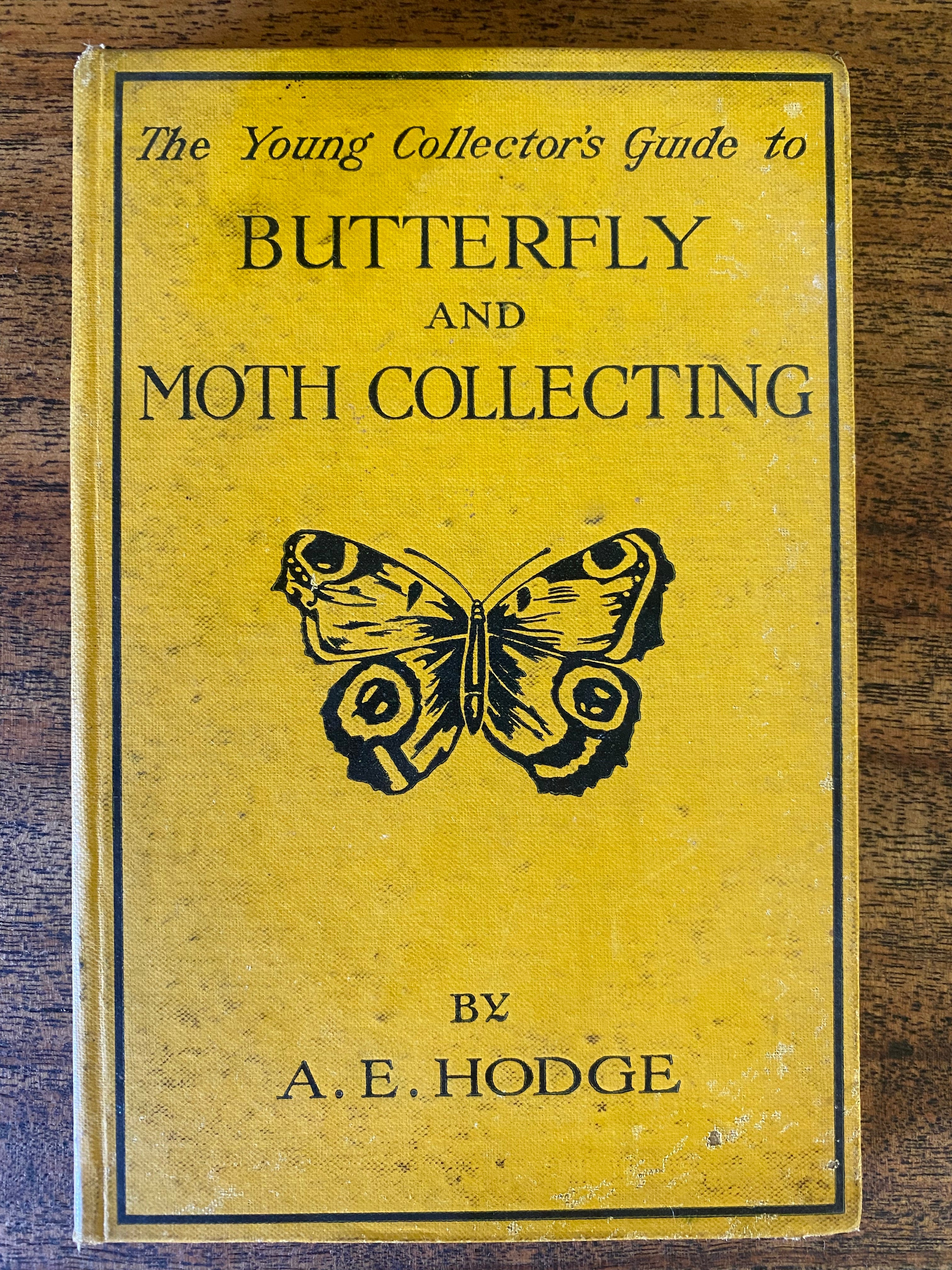 Butterfly and Moth Collecting - Hodge, A. E.