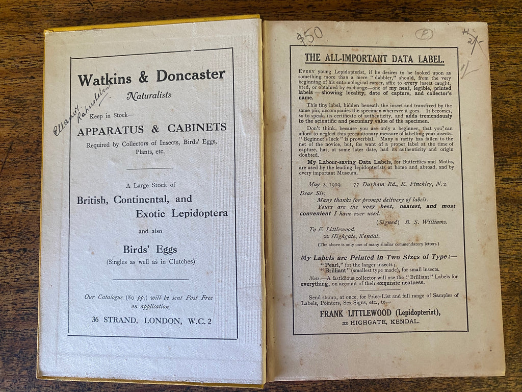 Butterfly and Moth Collecting - Hodge, A. E.